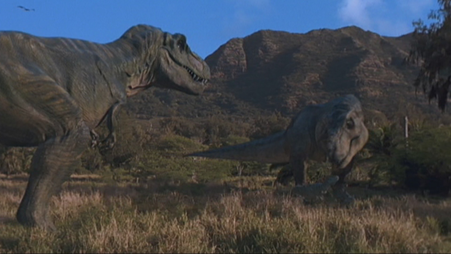 1920x1080 T-Rex Family Source: Keys: movies, the lost world: jurassic park, wallpaper,  wallpapers