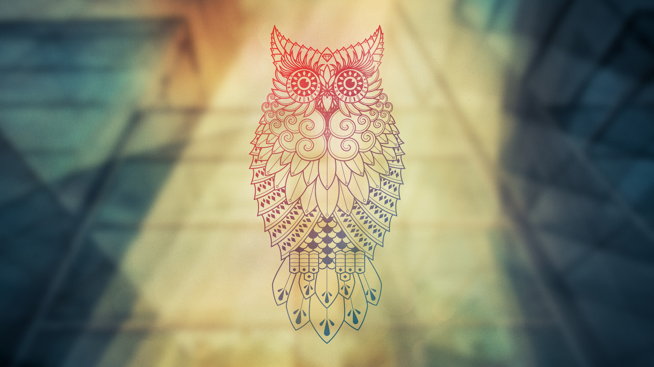 2560x1440 Owls Wallpaper Desktop Owl-desktop-wall-full
