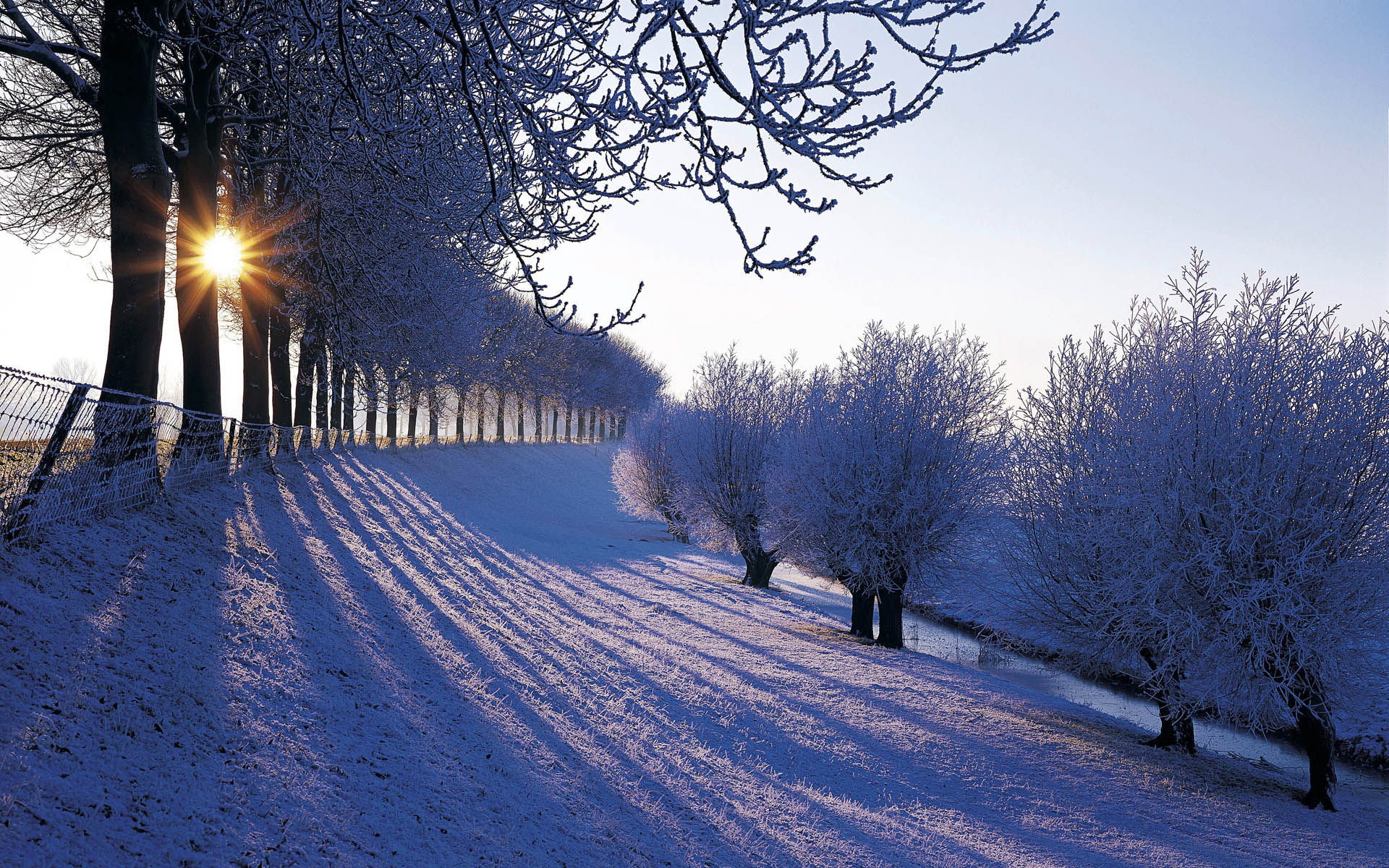 1920x1200 Beautiful winter now wallpaper landscape Snow wallpapers free download