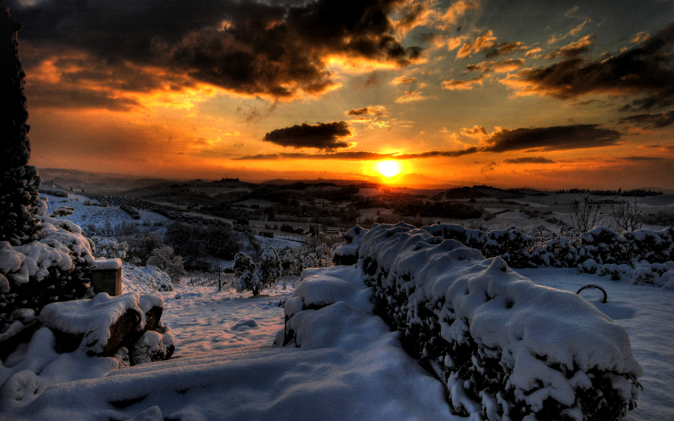 2560x1600 Winter Sunset Desktop Backgrounds Winter trees sunset wallpaper