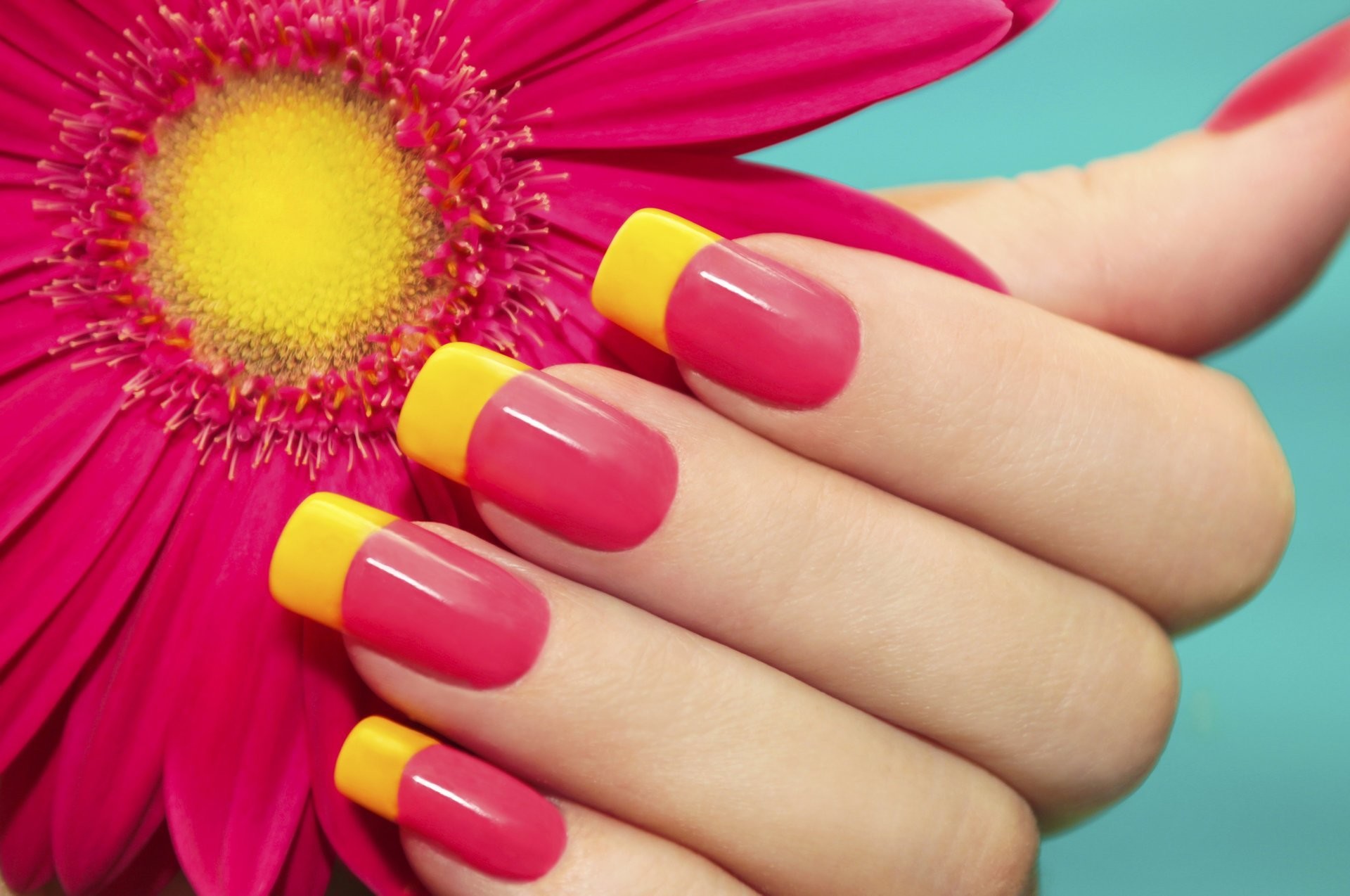1920x1274 hand manicure nails mood bright summer flower