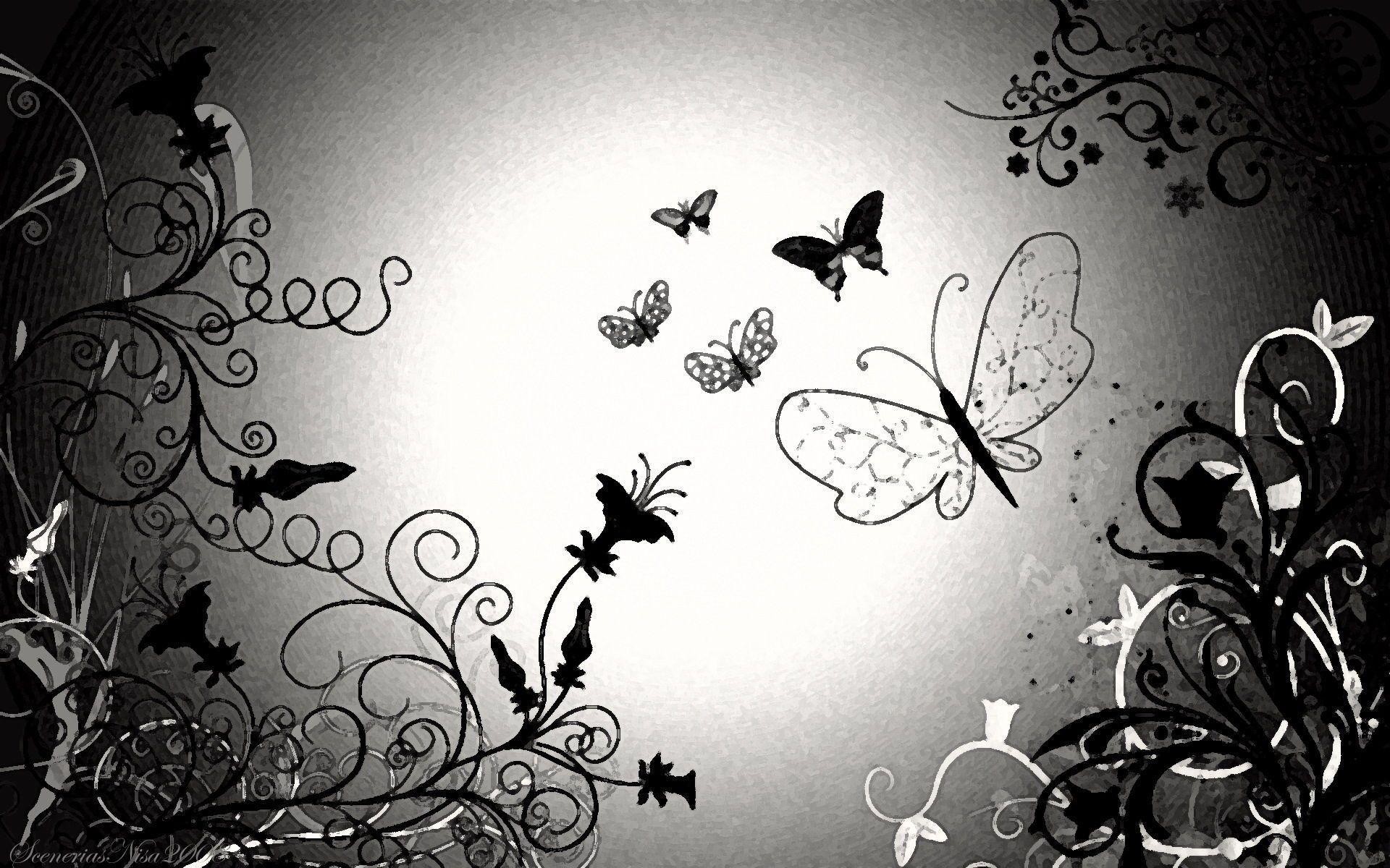 1920x1200 Black And White Butterfly Wallpaper HD