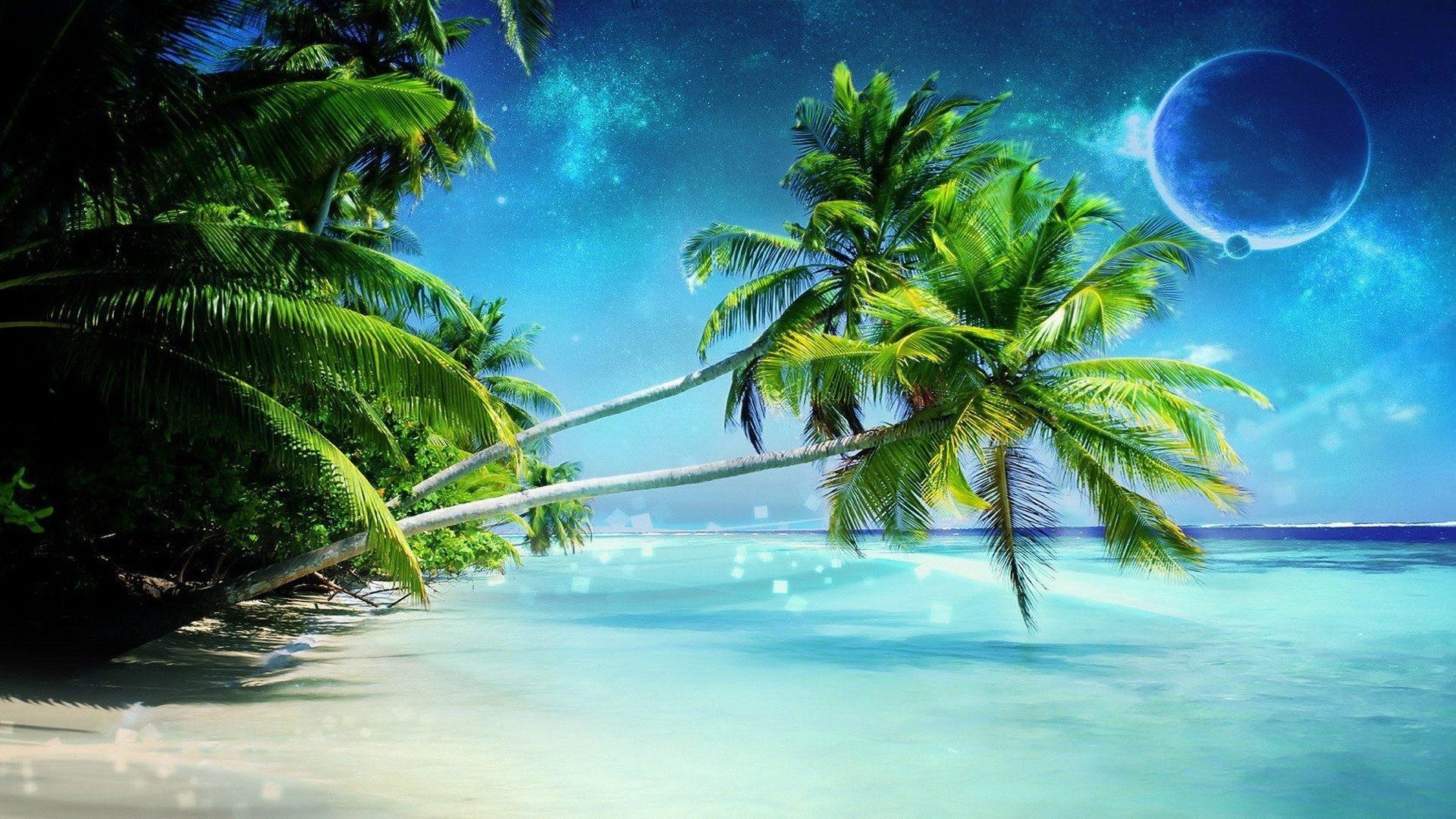 1920x1080 Tropical Beaches With Palm Trees S Wallpaper Images Is Cool Wallpapers