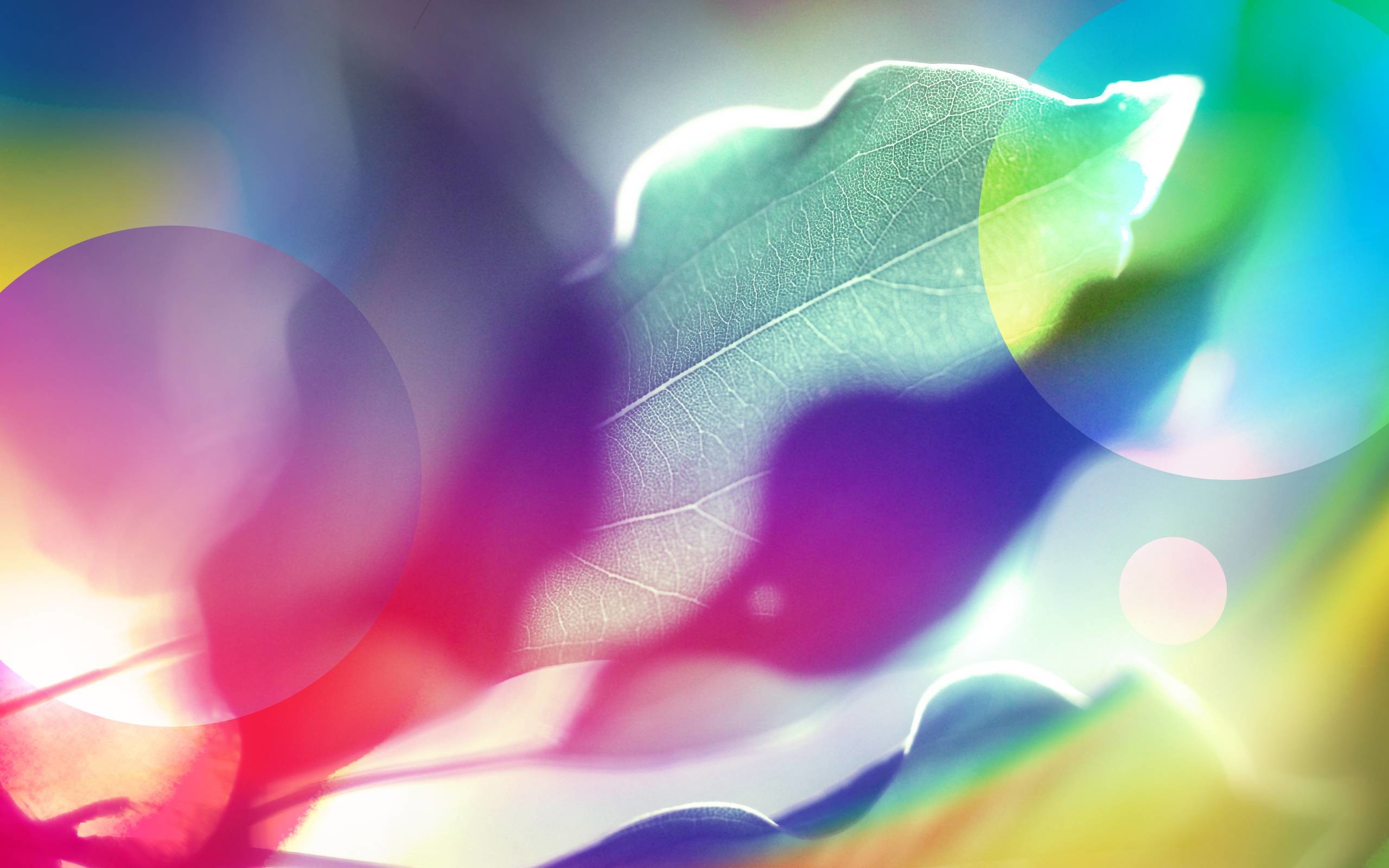 2560x1600 Colorful Natural MAC OSX HD Default Wallpaper | HD Wallpapers Free .
