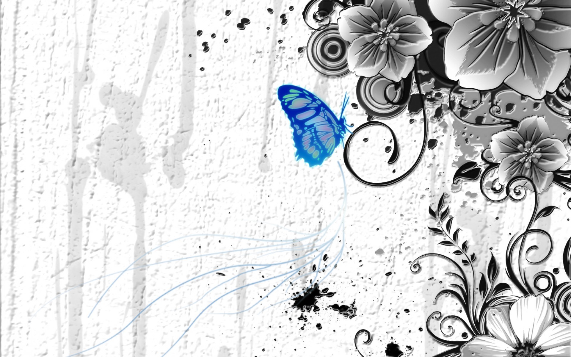 1920x1200 Light Blue Butterfly, Black and White Flower Wallpaper