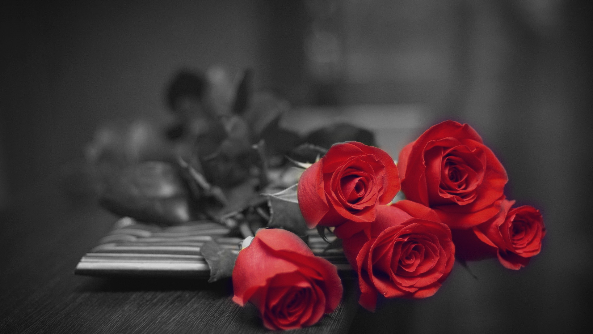 1920x1080 Explore Red Flowers, Red Roses and more!