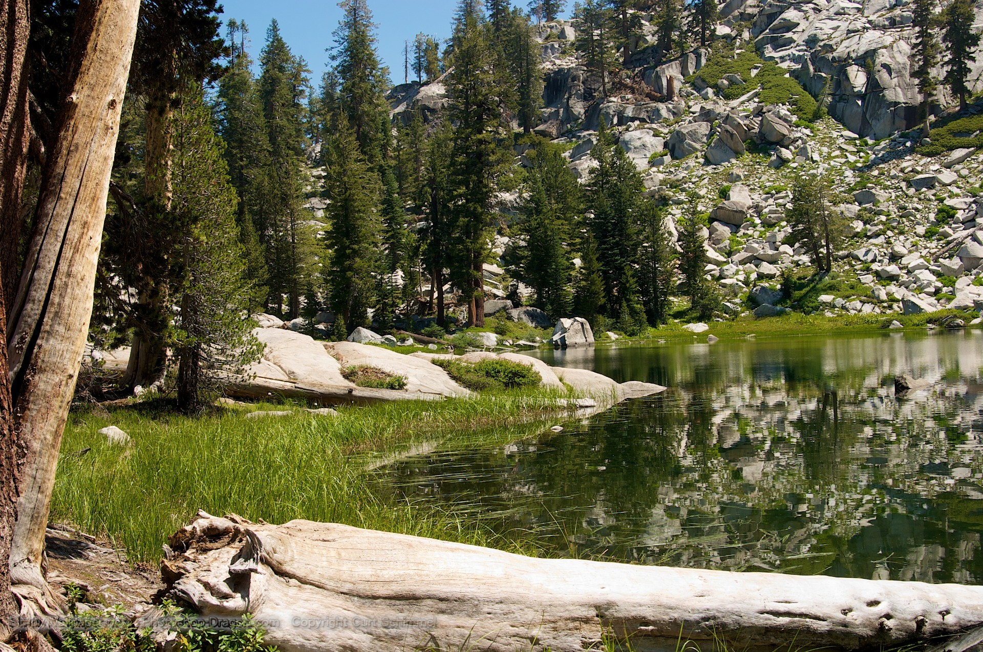 1920x1275 Secluded Pond at Sequoia National Park wallpaper - Click picture for high  resolution HD wallpaper