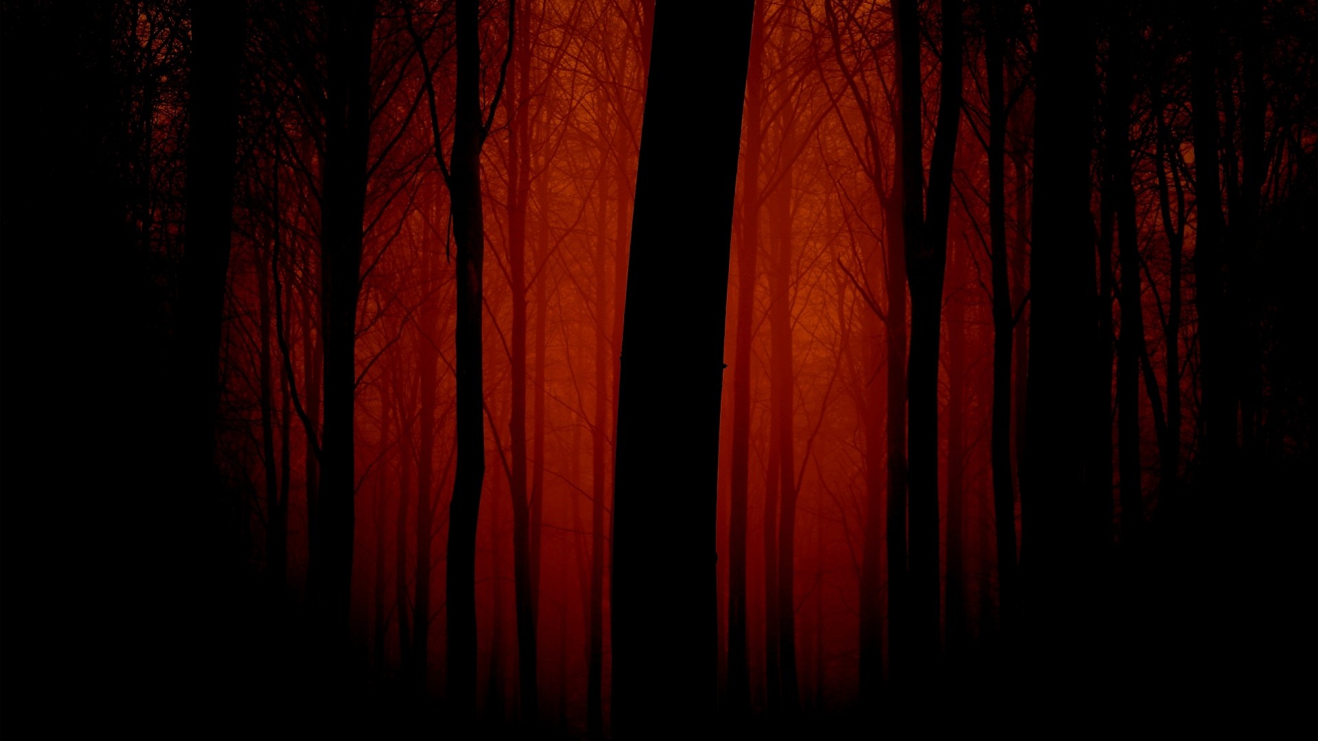 1920x1080  Wallpaper trees, outlines, evening, red, fog, light