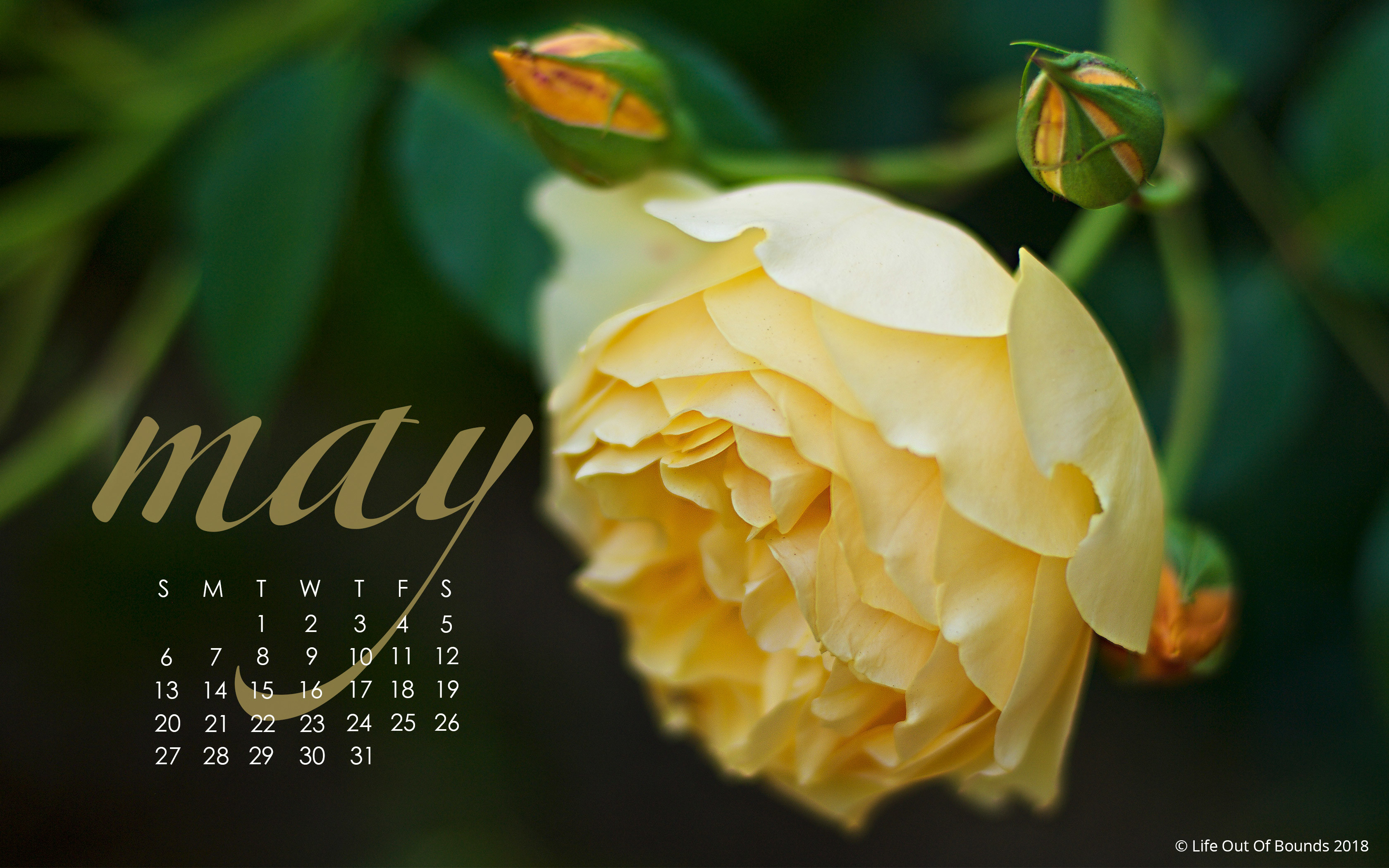 3360x2100 Click here to download the May 2018 calendar wallpaper for desktop/laptop