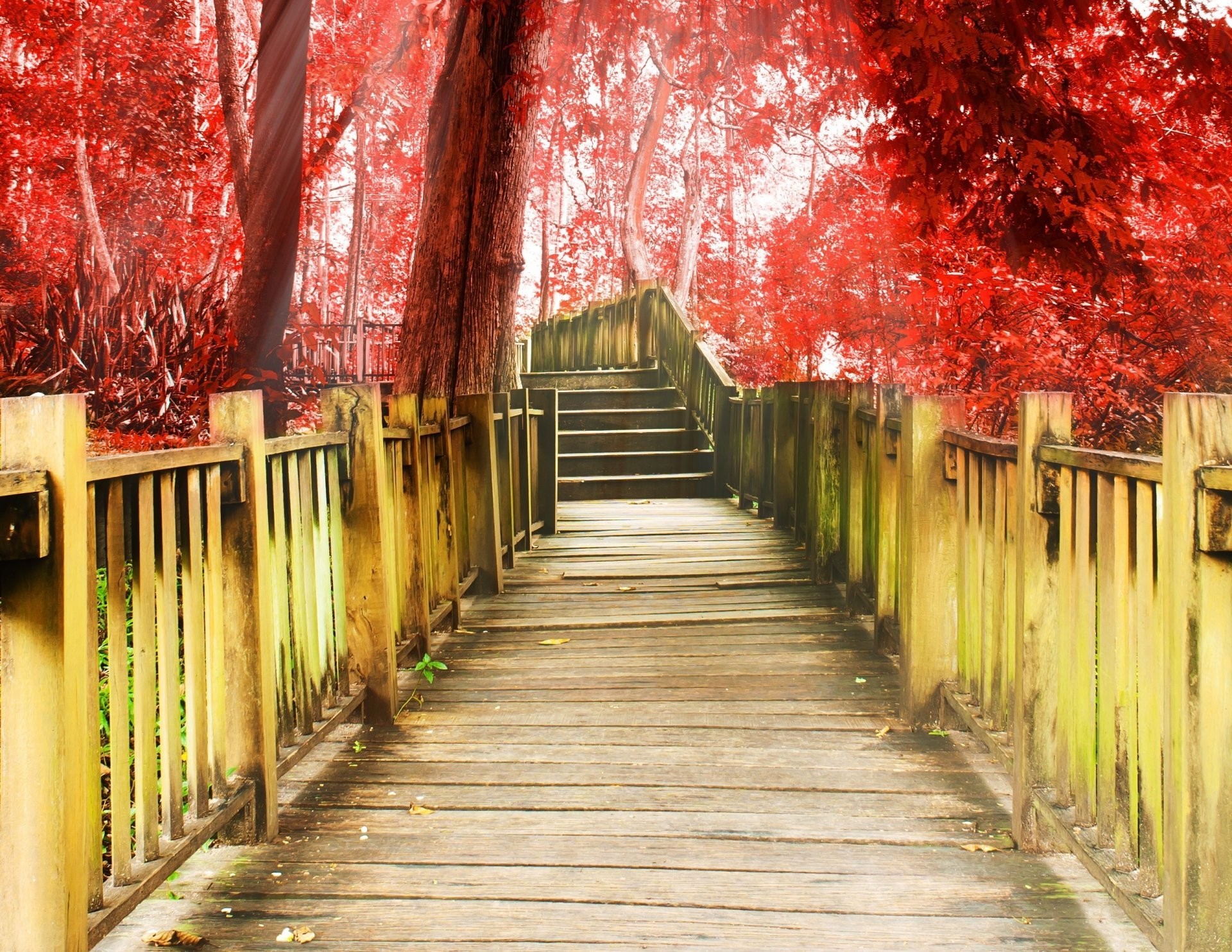 1920x1483 miscellaneous track stairs degree a step tree red background wallpaper  widescreen full screen hd wallpapers fullscreen