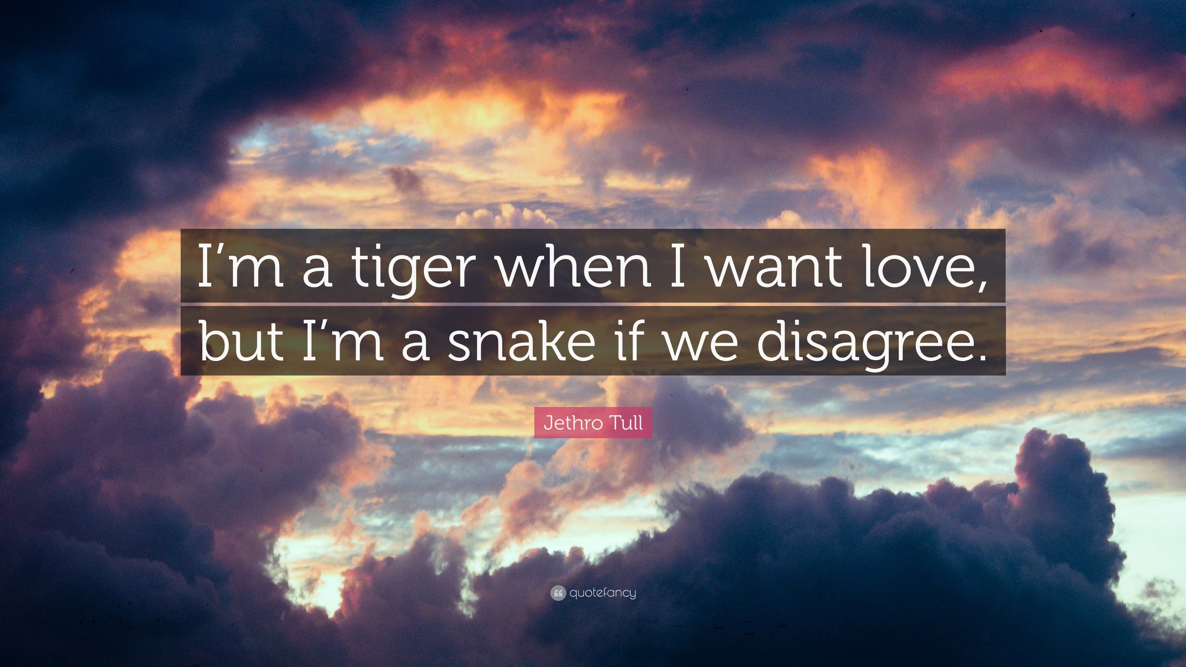 3840x2160 Jethro Tull Quote: “I'm a tiger when I want love, but