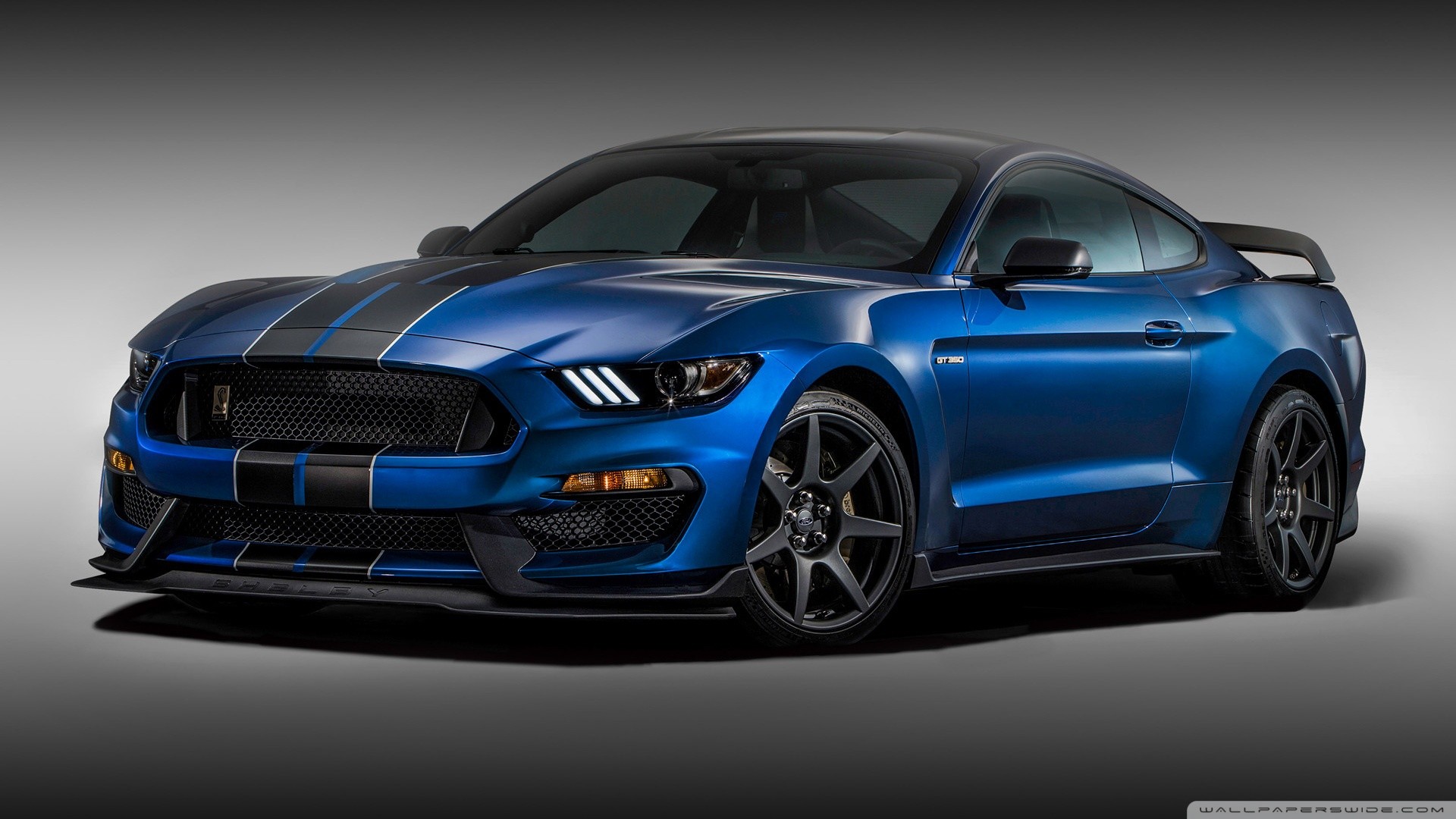 1920x1080 Shelby Mustang GT 350 Wallpapers