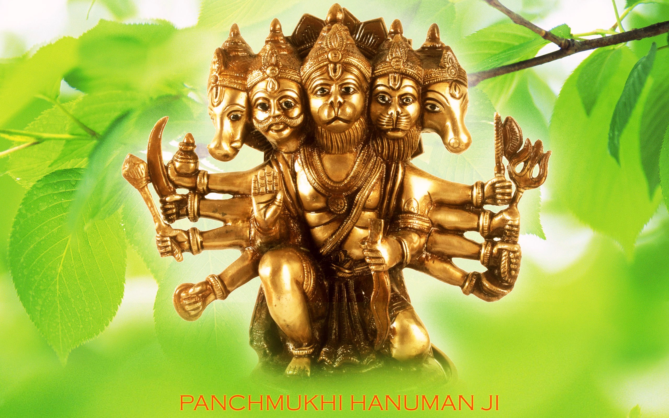 2560x1600 Panchmukhi Hanuman