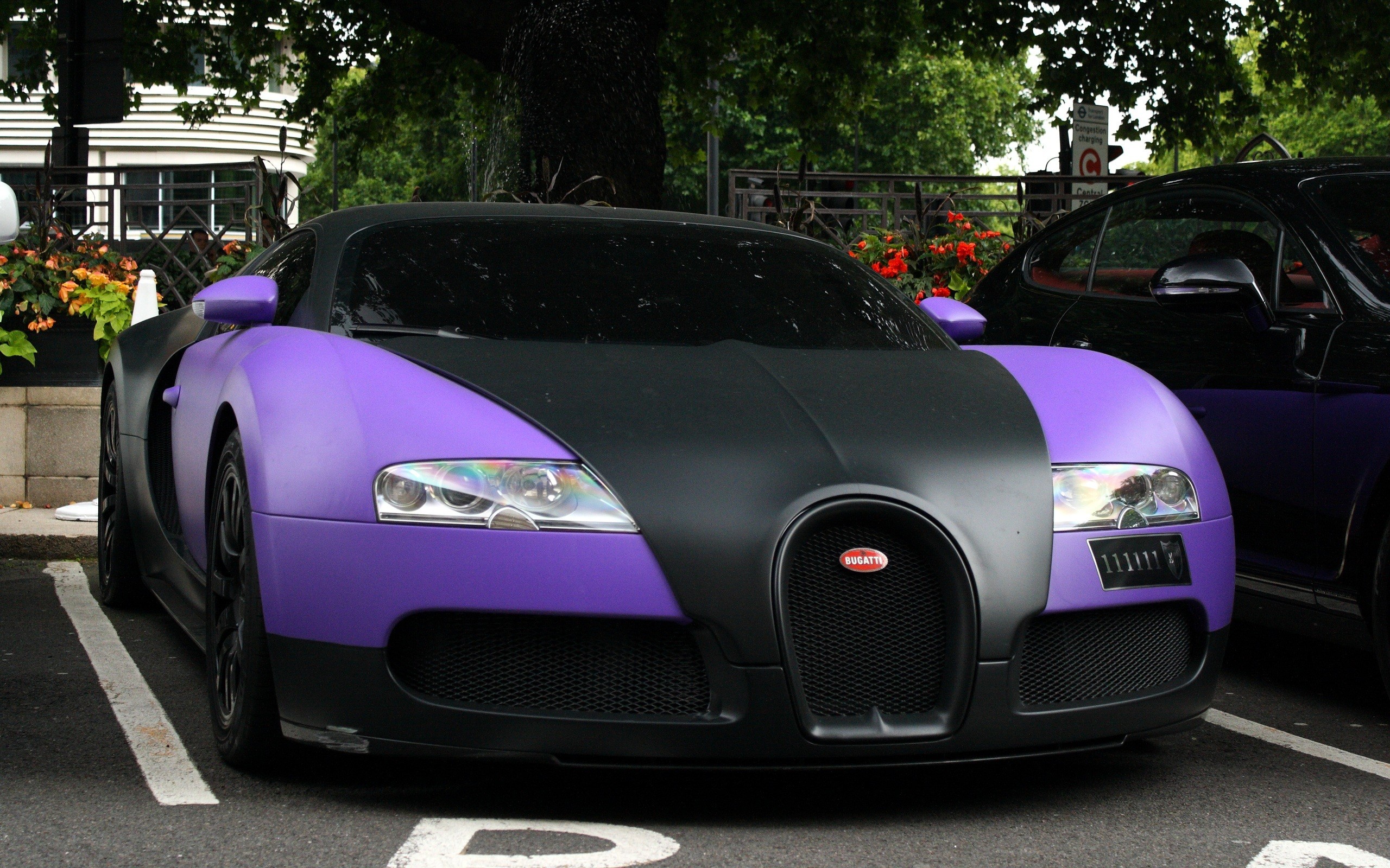 2560x1600 Purple Bugatti Veyron
