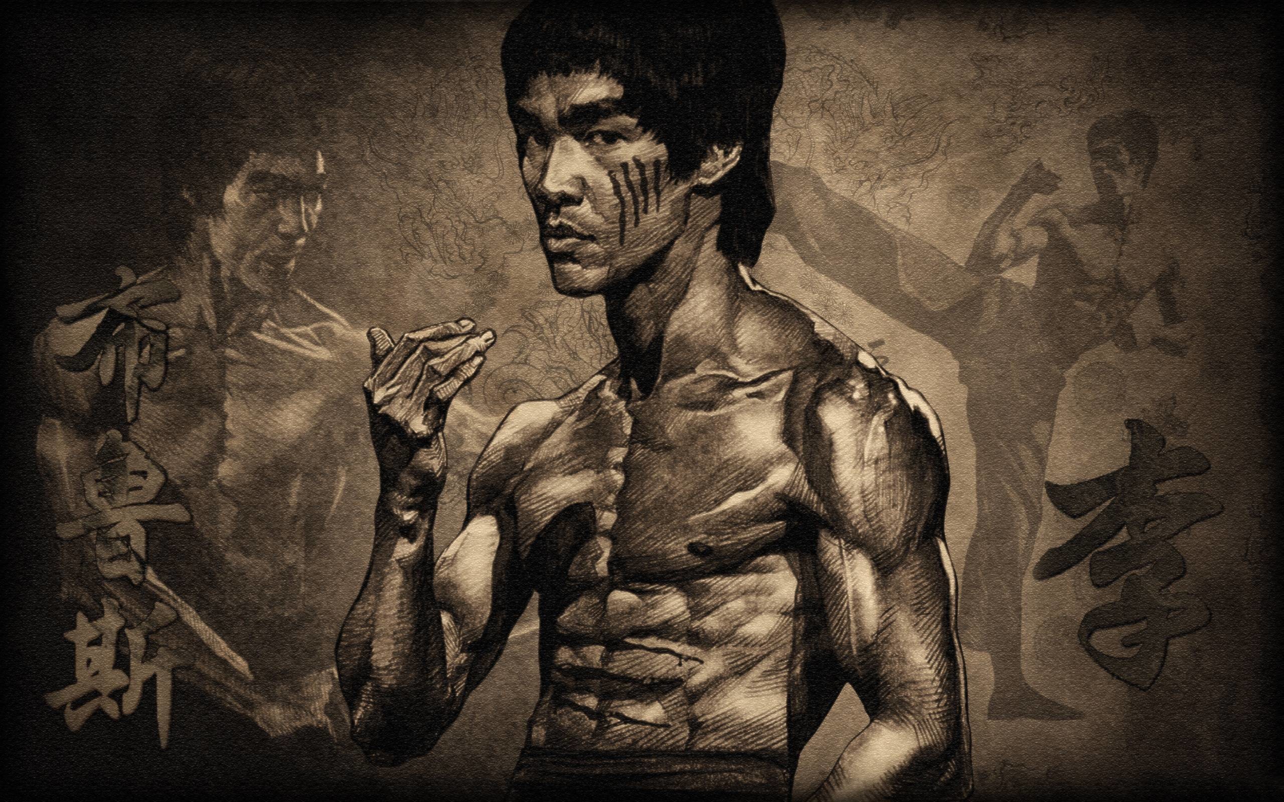 2560x1600 Bruce Lee Wallpaper, the legend , actor , soldier , kung-fu | HD
