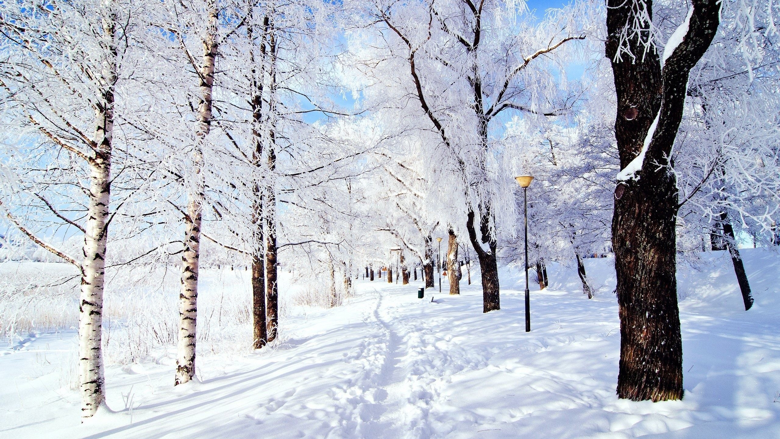 2560x1440 Snow Wallpapers Images on