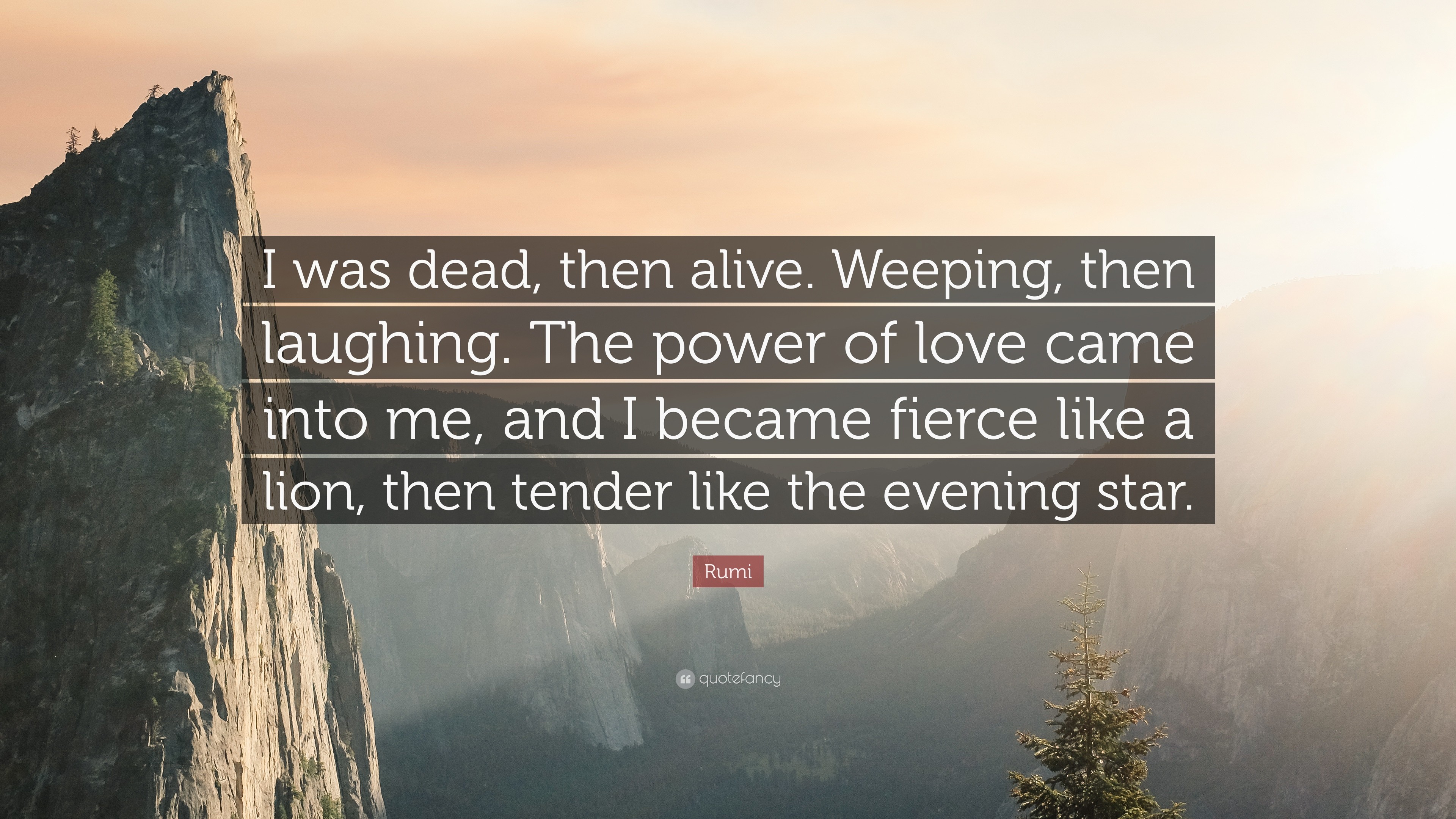 3840x2160 Quotes About Laughing: “I was dead, then alive. Weeping, then laughing