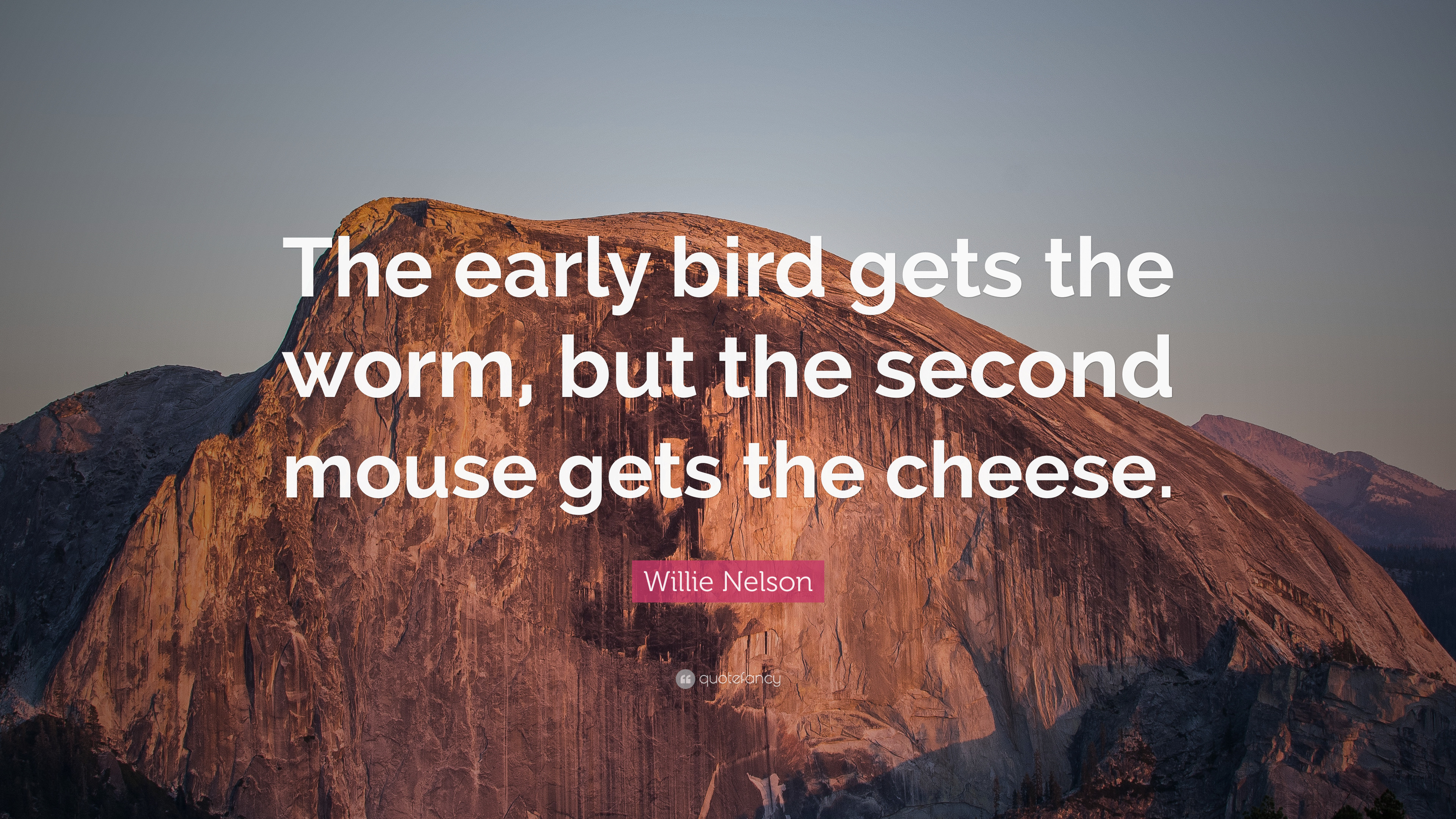 3840x2160 Willie Nelson Quote: “The early bird gets the worm, but the second mouse