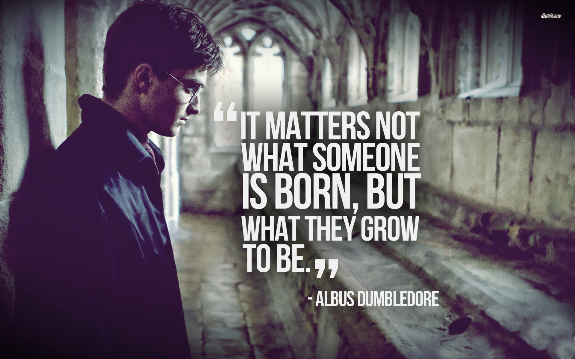 1920x1200 ... Top Harry Potter Quotes Wallpaper Find And Save Images From The Harry  Potter Quotes Collection By