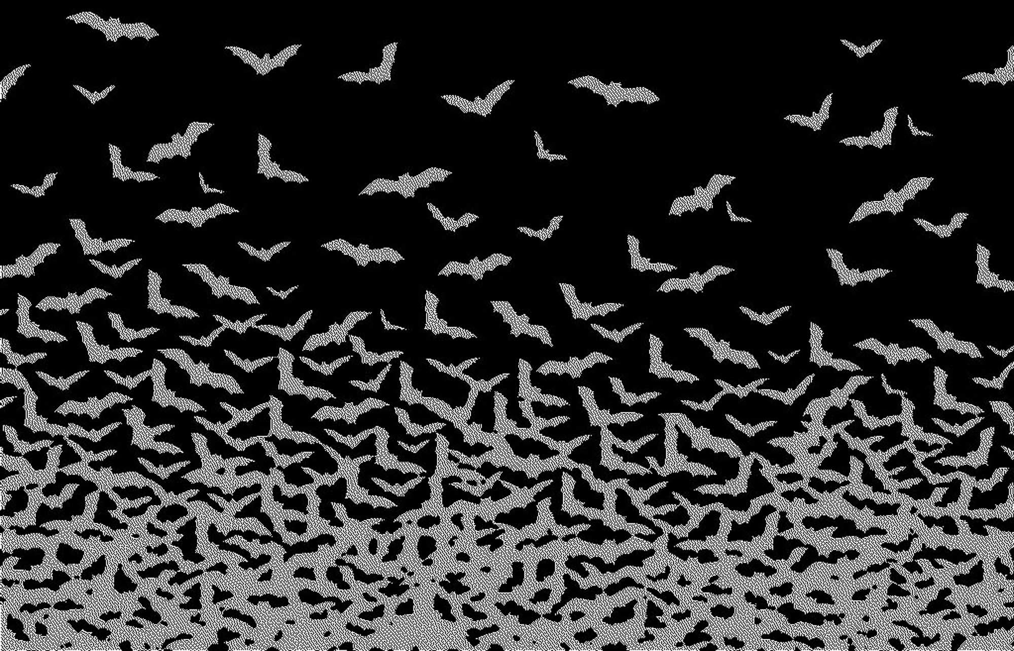 2000x1284 Bats Wallpapers Group (67)