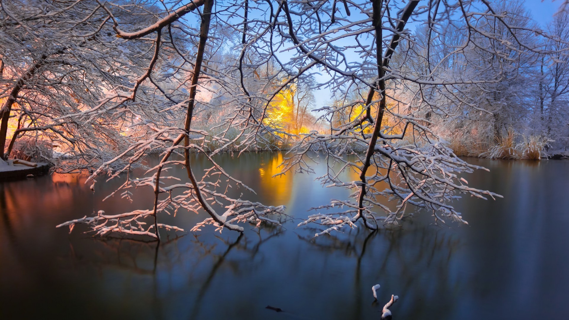 1920x1080 nature, Landscape, Water, Lake, Trees, Brooklyn, Park, New York City, USA,  Sunrise, Winter, Snow, Branch, Reflection, Morning, Long Exposure Wallpapers  HD ...