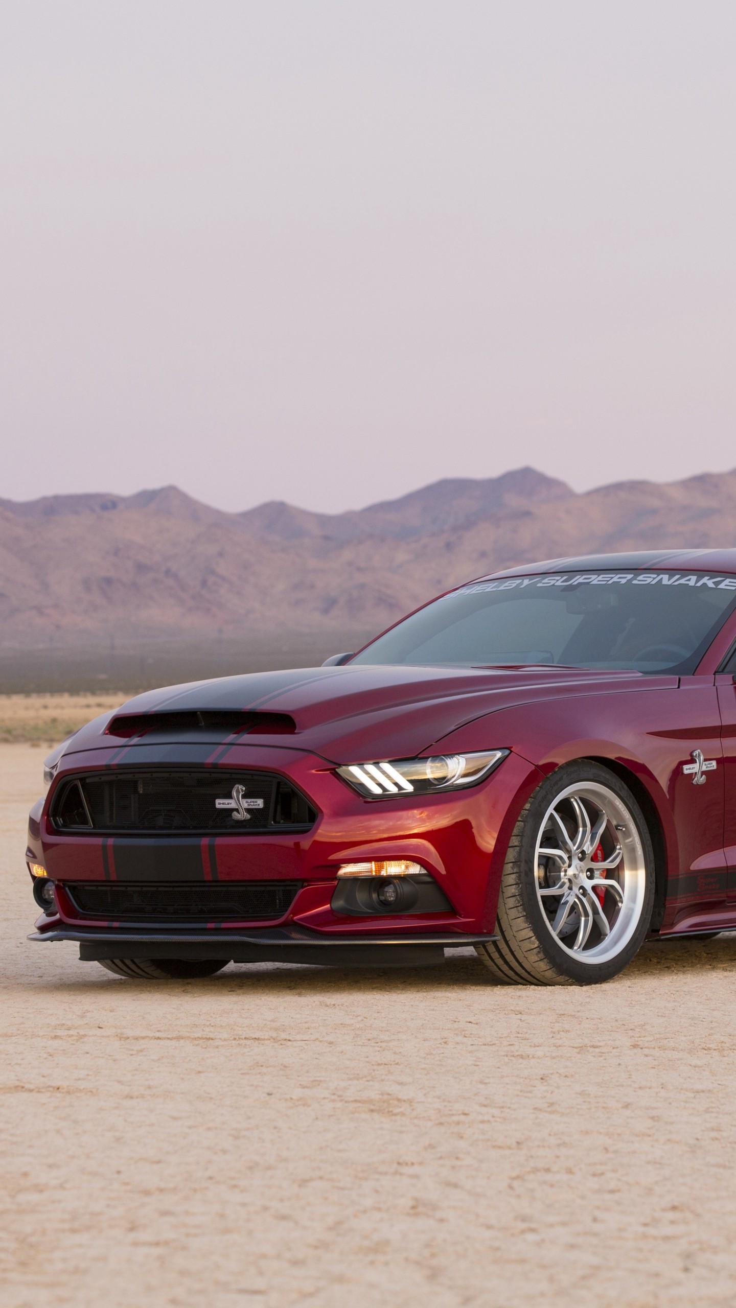 1440x2560 Preview wallpaper ford, mustang, shelby, side view 