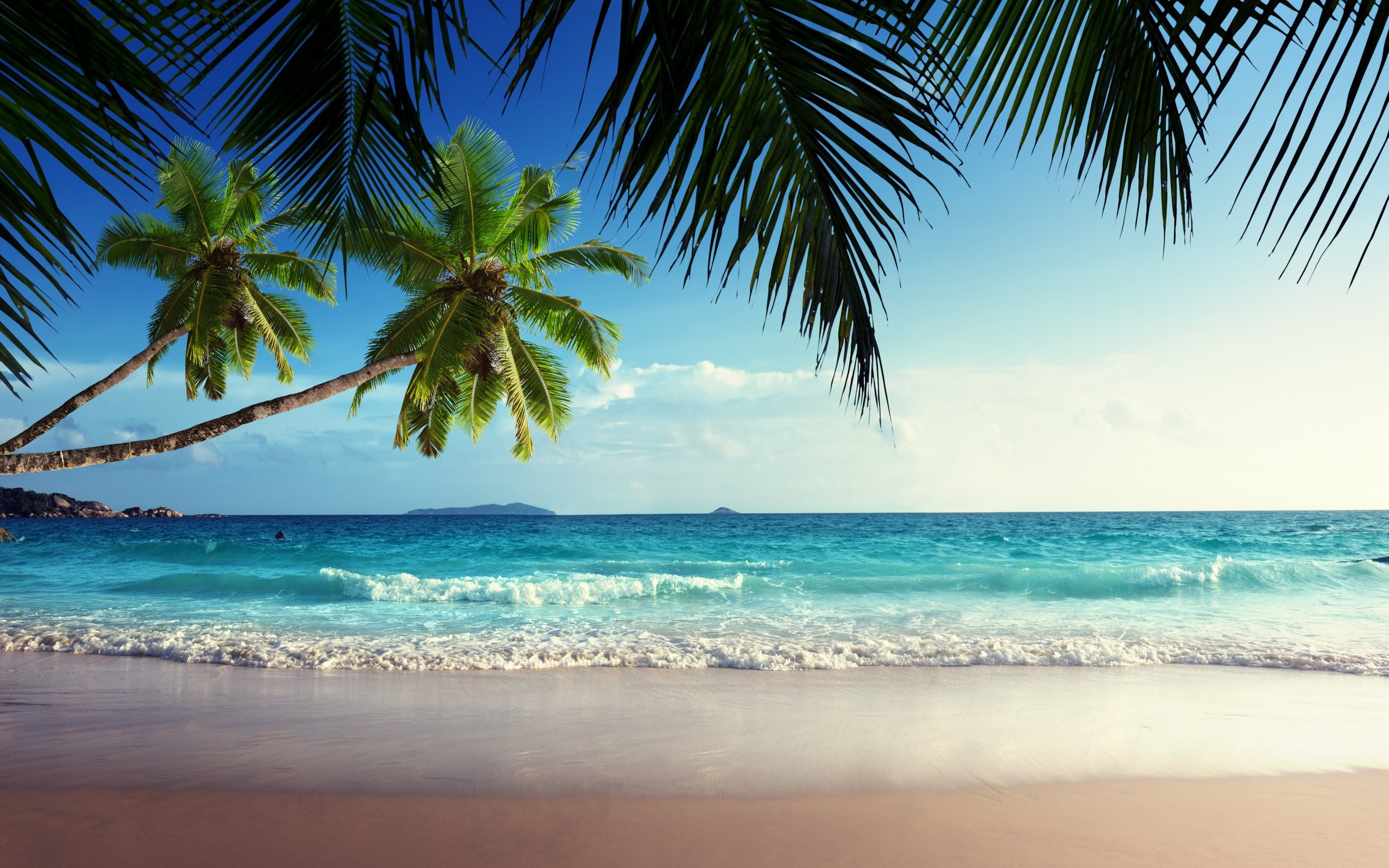 2560x1600 Tropical Beach Paradise