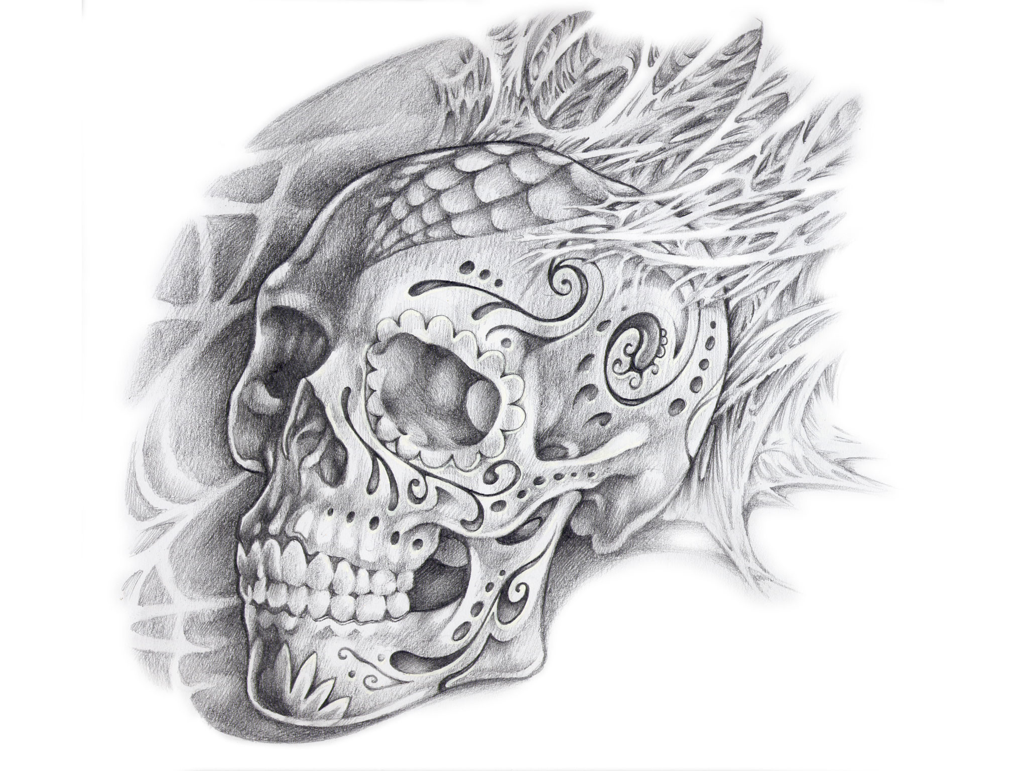 2048x1536 Free Designs Penciled Skull Tattoo Wallpaper