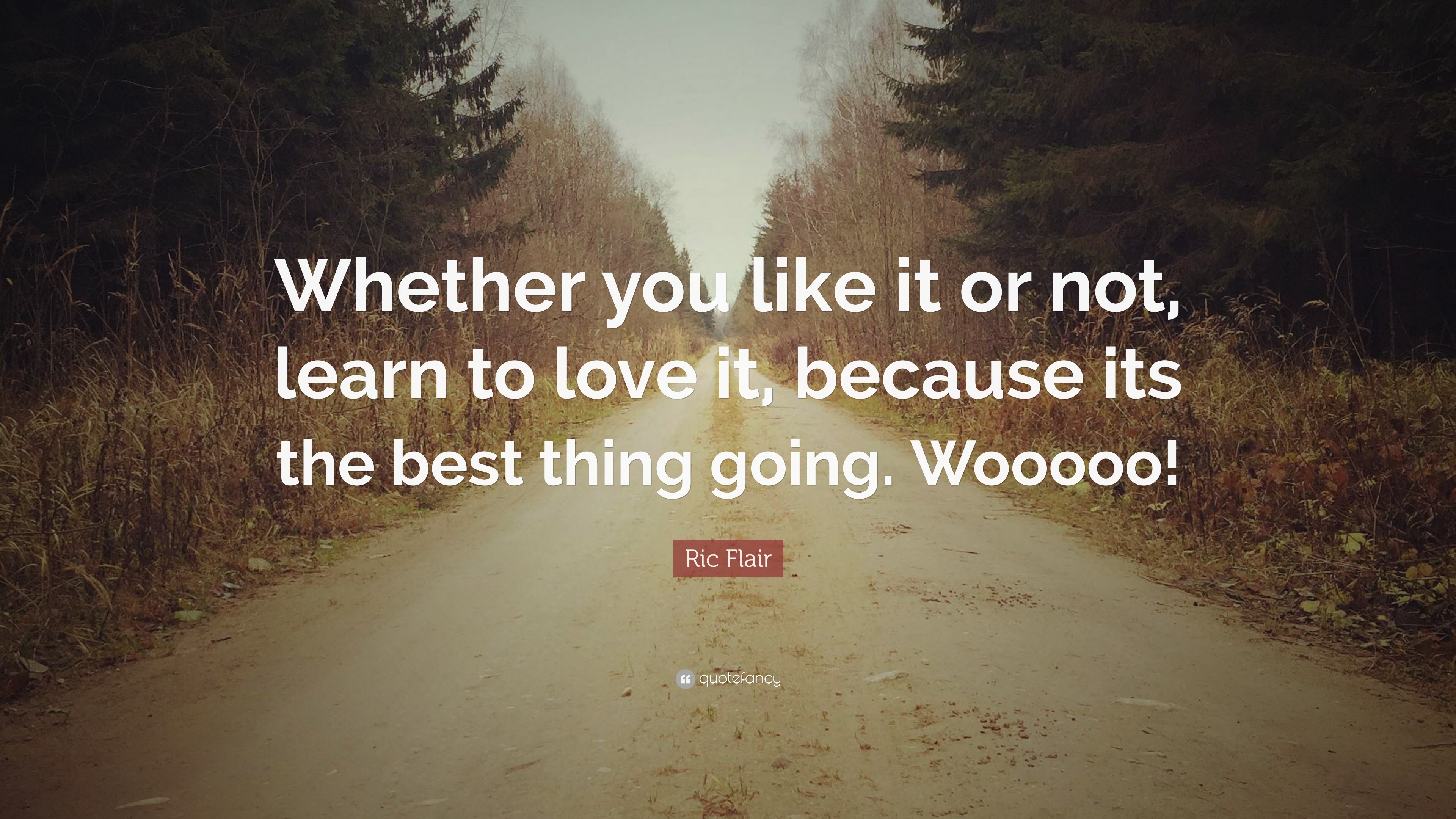 3840x2160 Ric Flair Quote: “Whether you like it or not, learn to love it