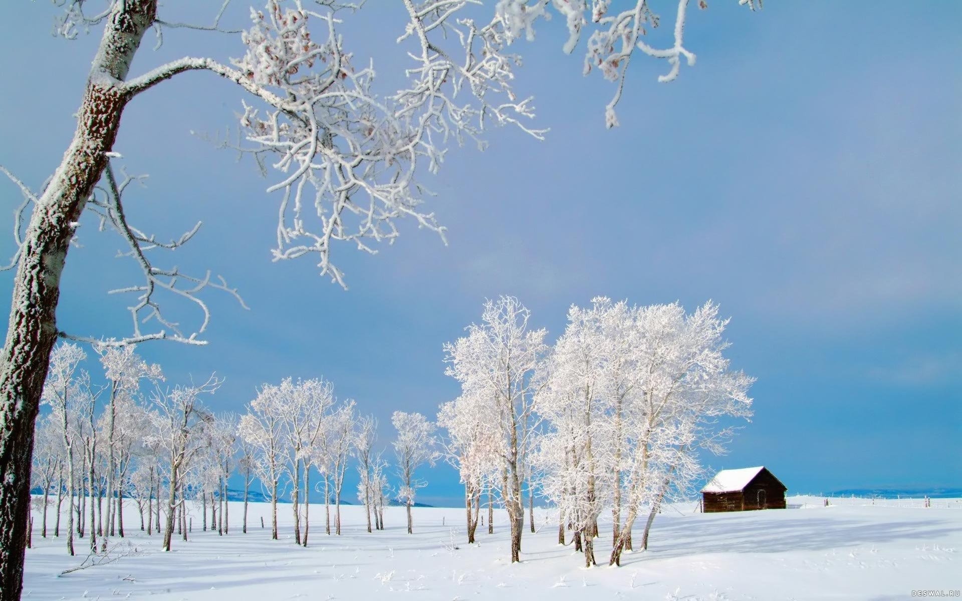 1920x1200 ... Beautiful Winter Wallpapers | Beauty of Winter season | Nature .