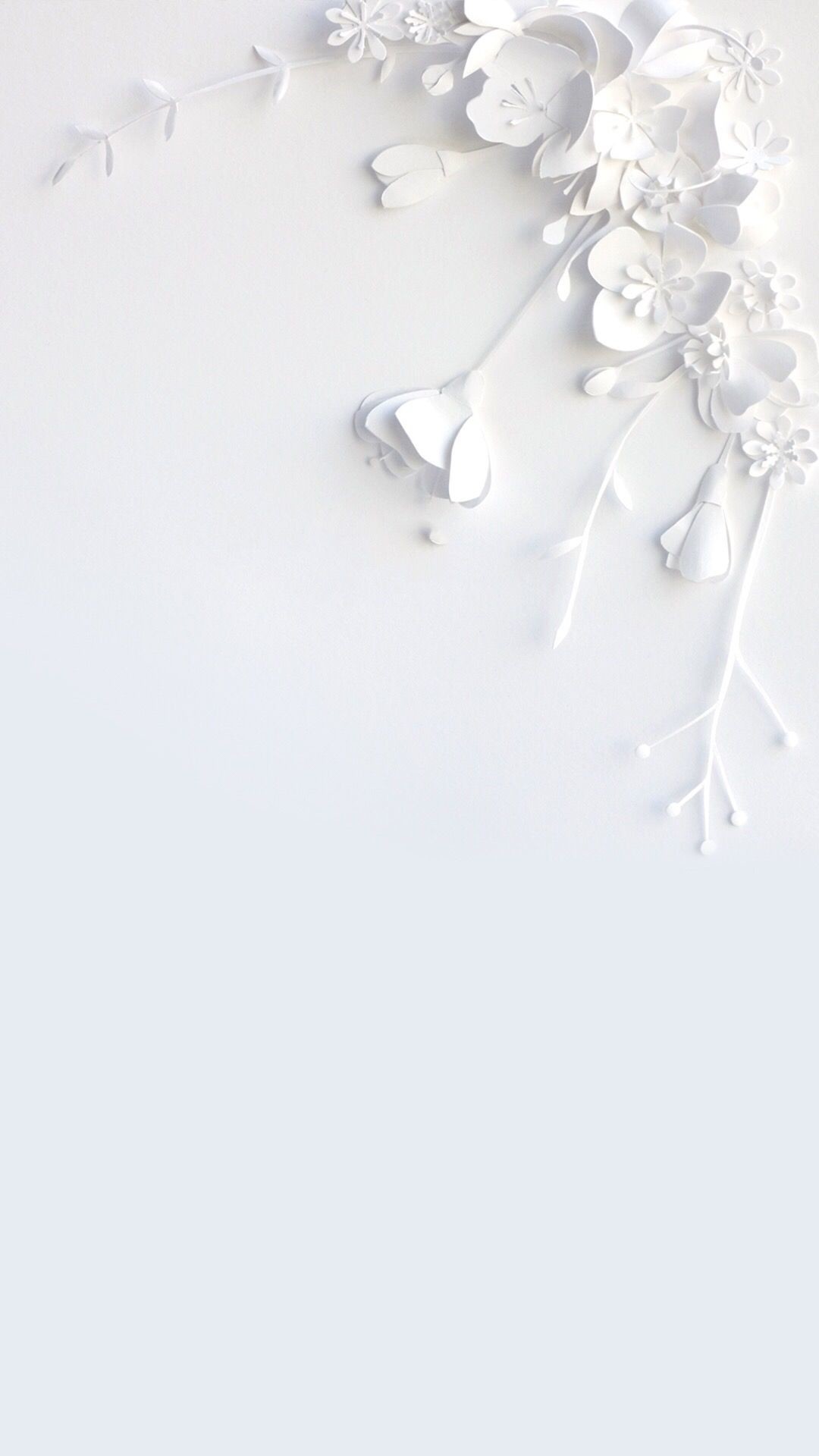 1080x1920 White flower wallpaper