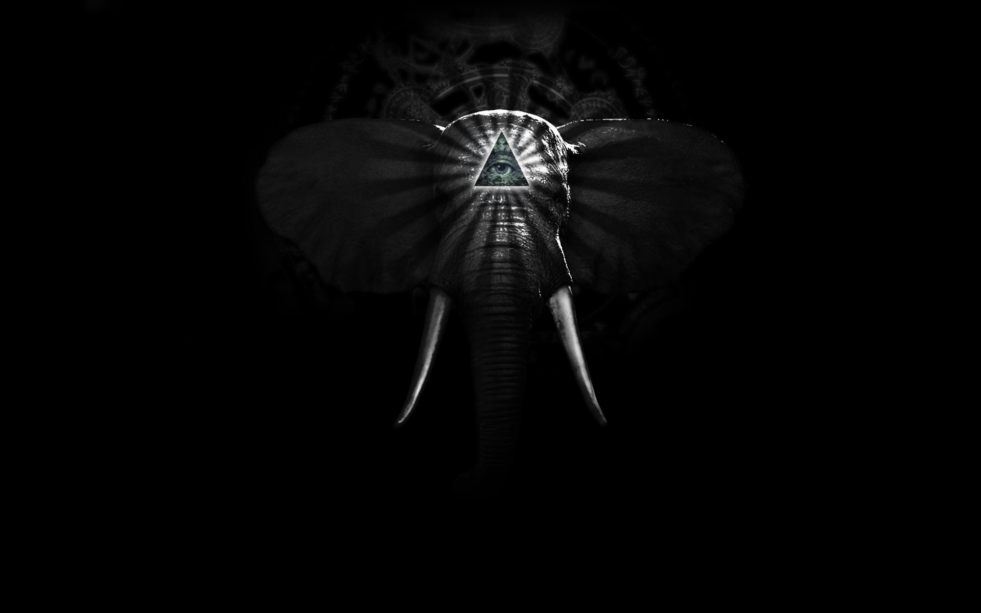 1920x1200 Background web elephant hd.