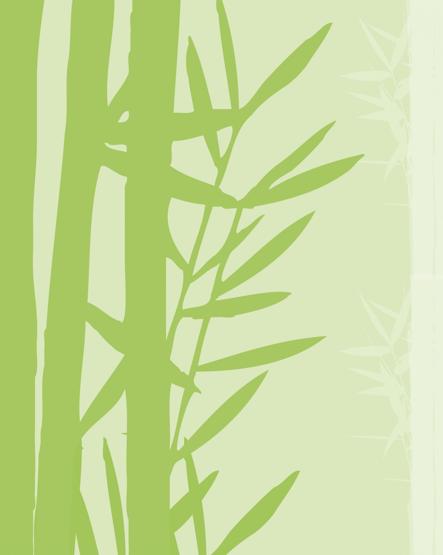 1535x1920 Bamboo Background Wallpaper
