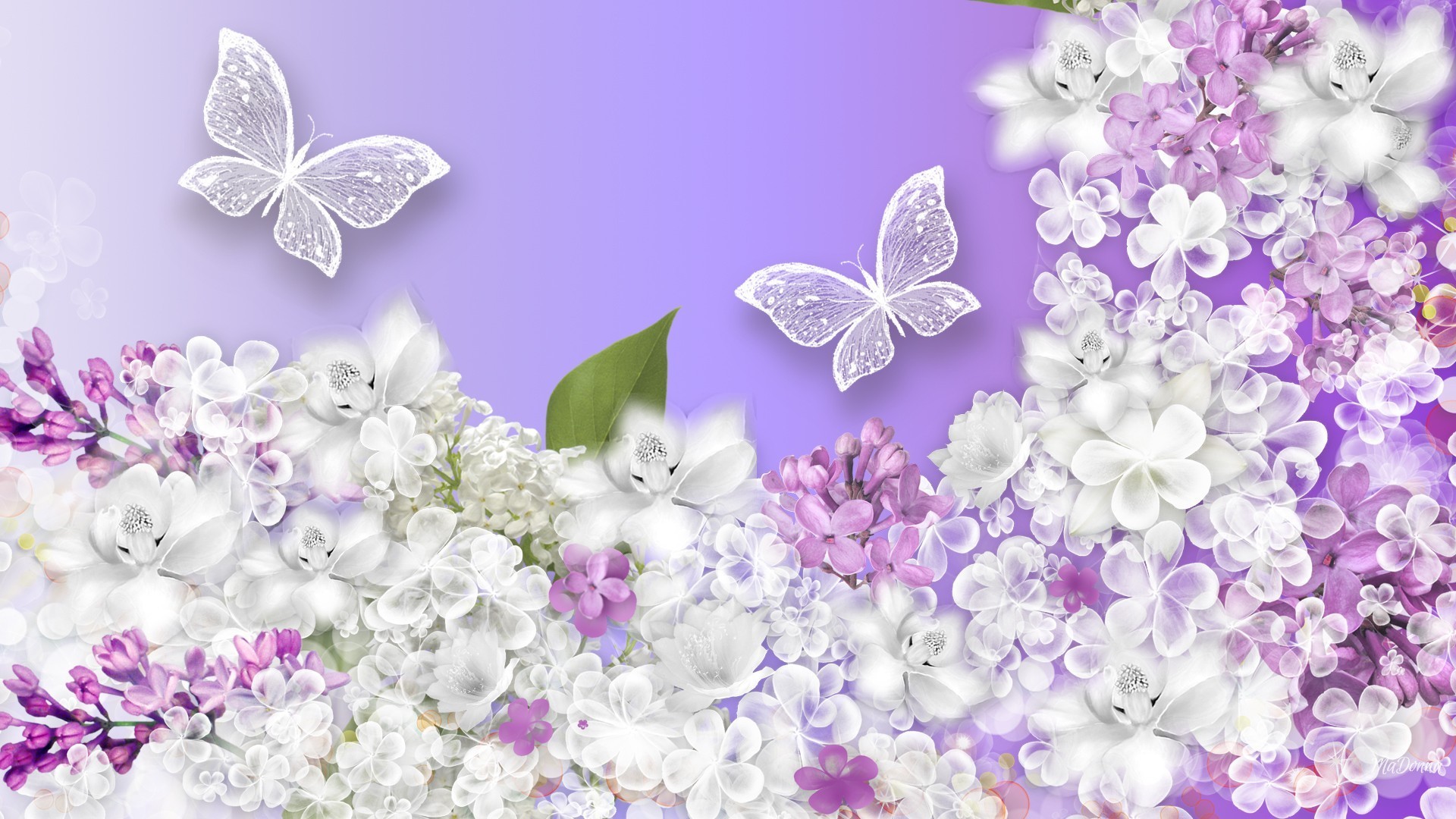 1920x1080 Fragrant Tag - Spring Shine Plumeria Lilacs Lavender Purple Fragrant Glow  Perfume Sweet Lacy Butterflies Fragrance