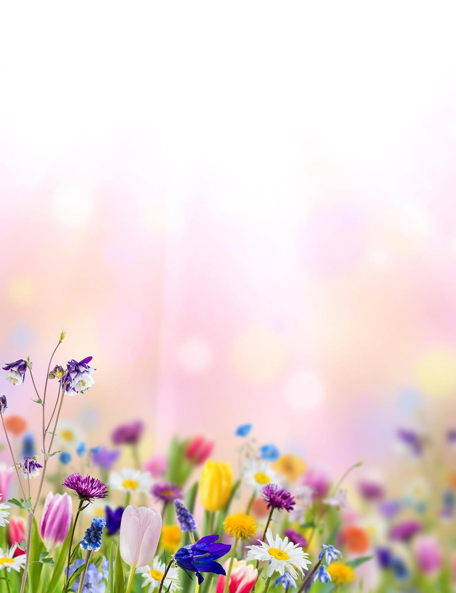 1538x2000 Bokeh Sunshine Wildflowers With Pink Background For Baby Backdrop - Shop  Backdrop ...