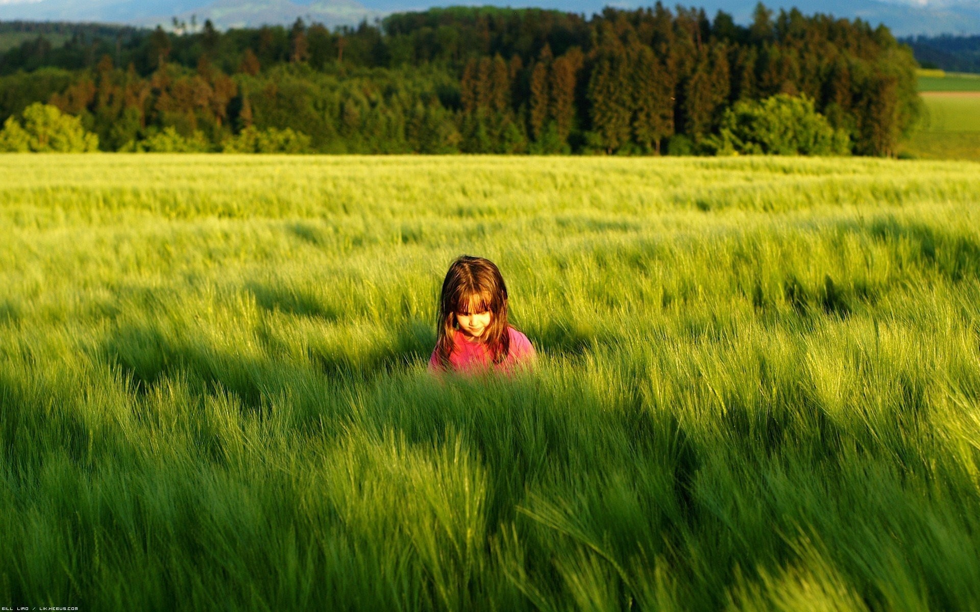 1920x1200 mood children girl. nature grass green meadow sun trees . foliage shadow background  wallpapers full