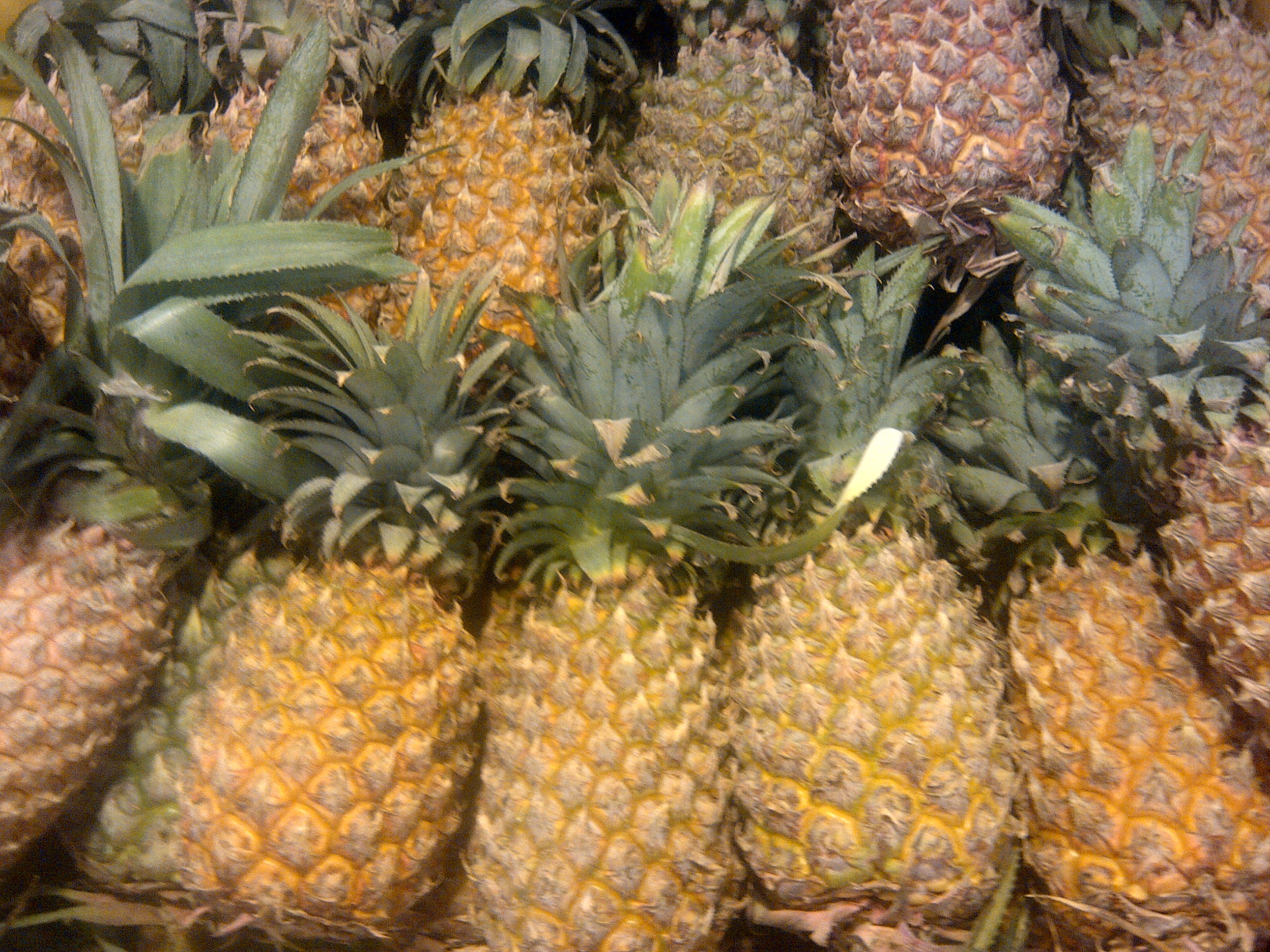 Pineapple Wallpapers Images