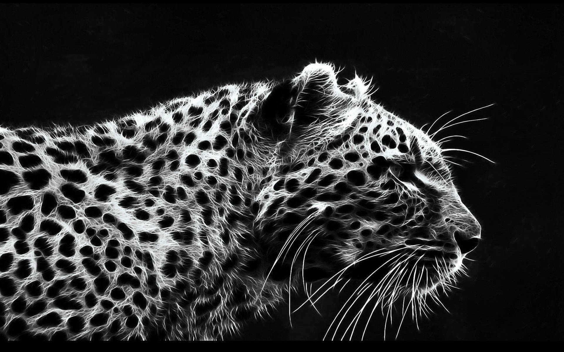 Download A Black And White Image Of A Leopard Print Wallpaper  Wallpapers com