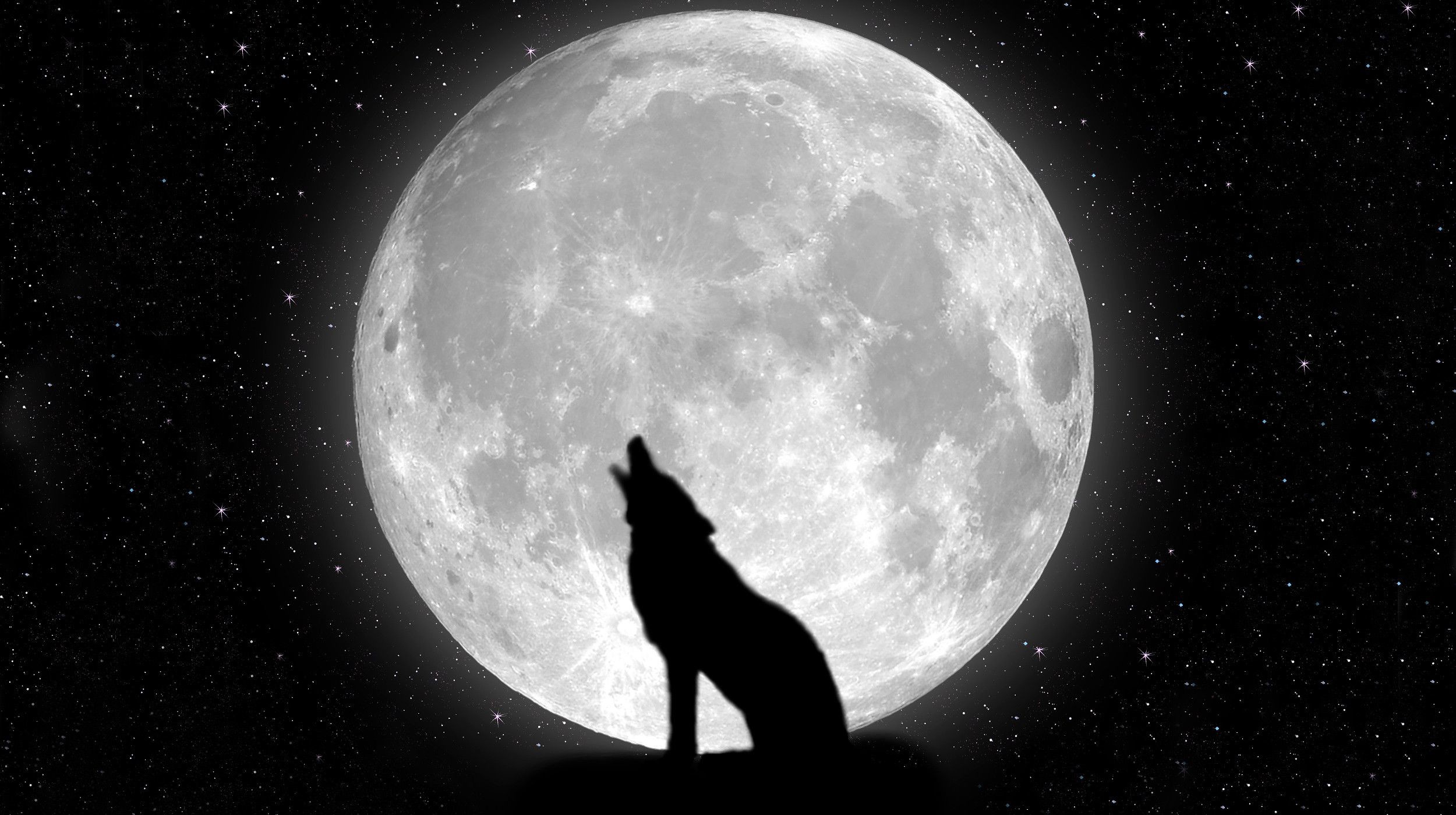 2500x1400 0 Animated Wolf Wallpapers Black Wolf Wallpapers