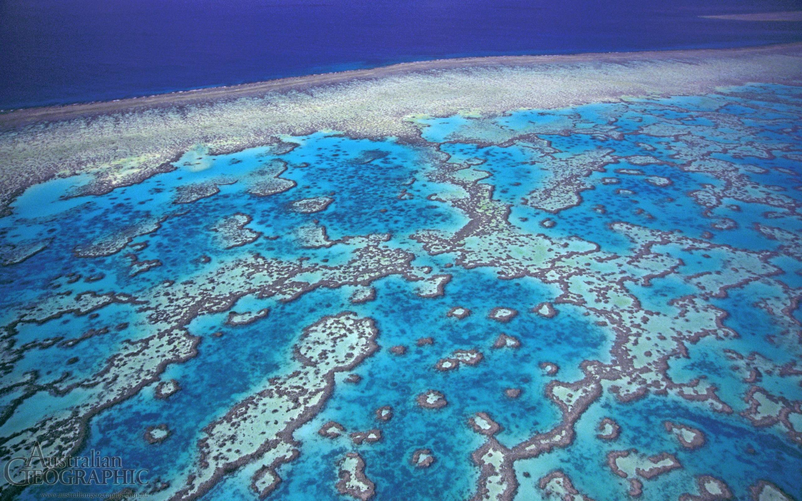 2560x1600 Great Barrier Reef Wallpaper 3 40902 Images HD Wallpapers .