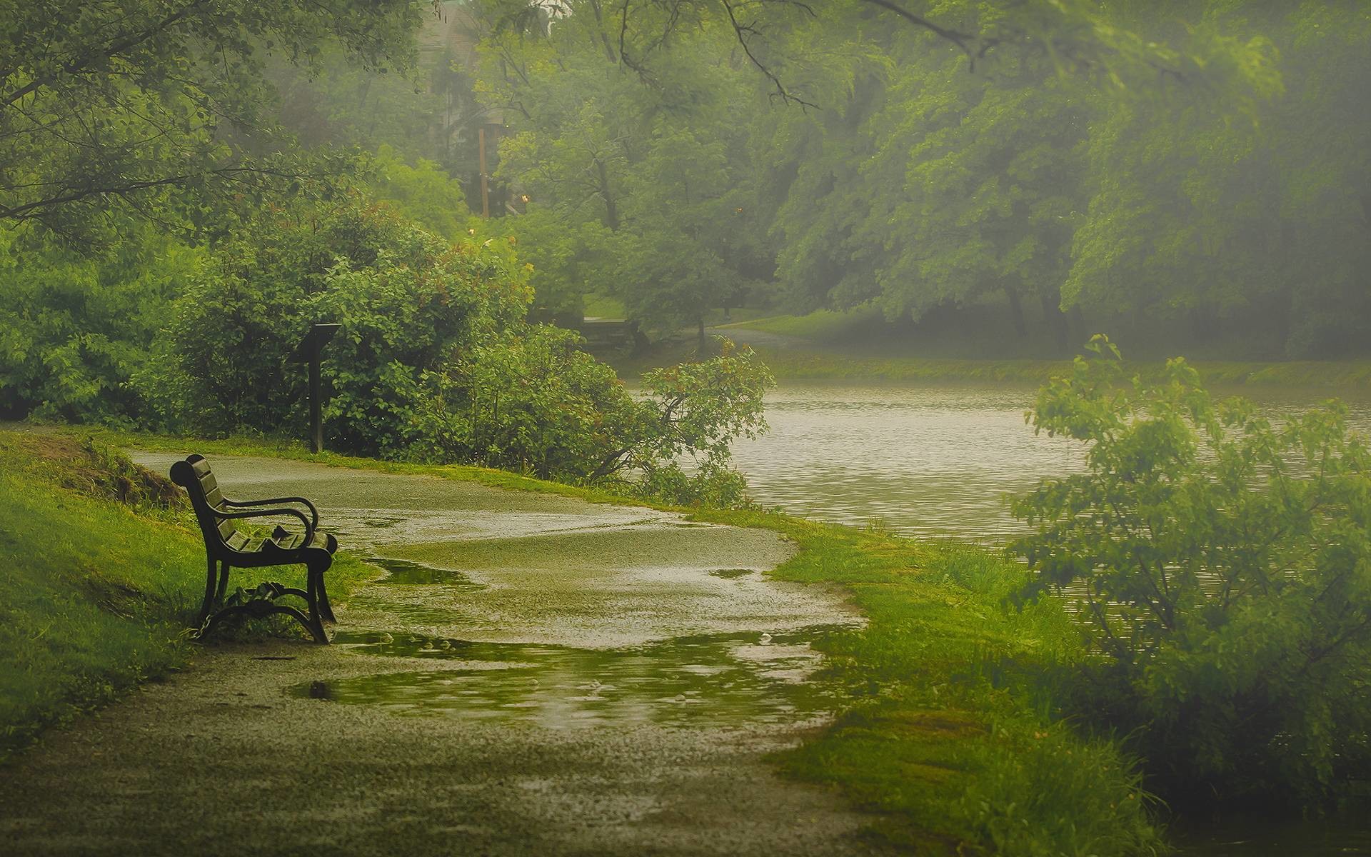 1920x1200 Nature rain park bench Wallpapers | Pictures