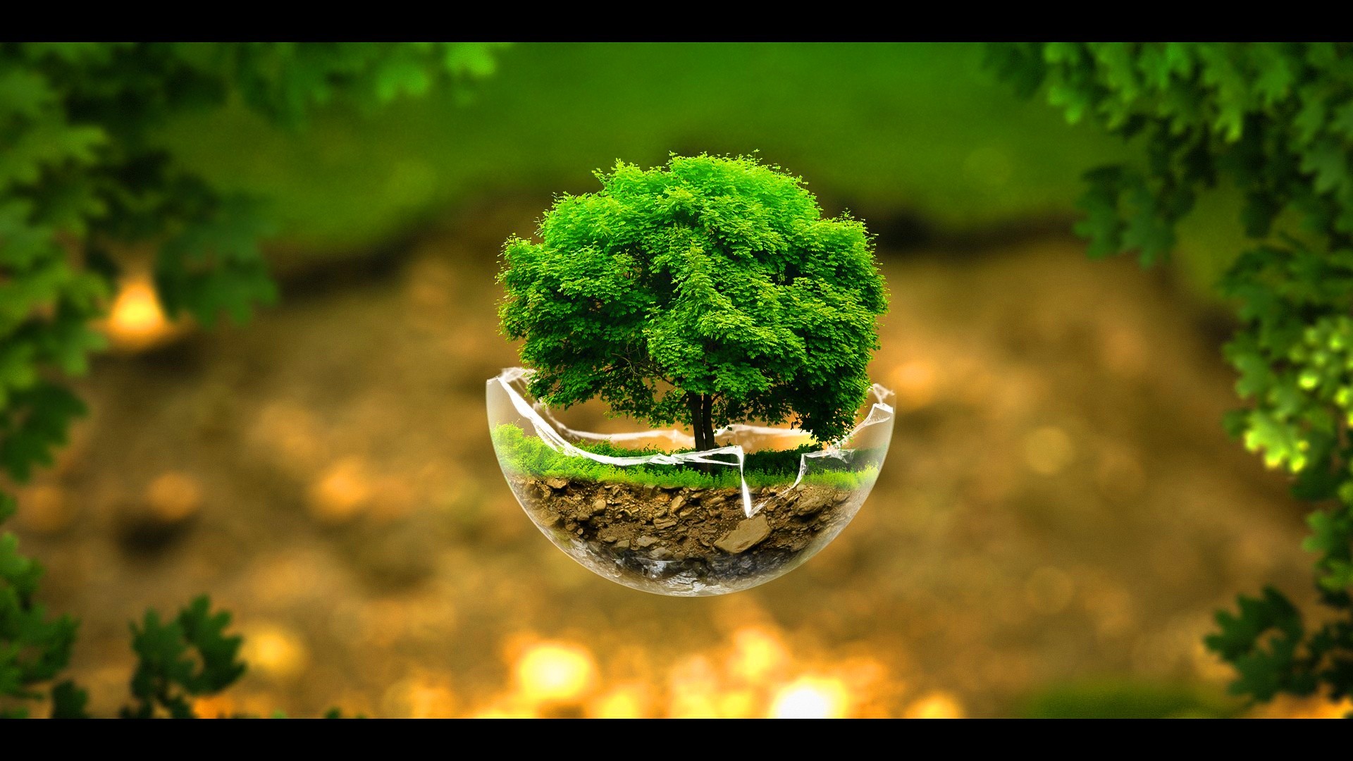 1920x1080 Awesome Little Tree Background Wallpaper Pc Wallpaper