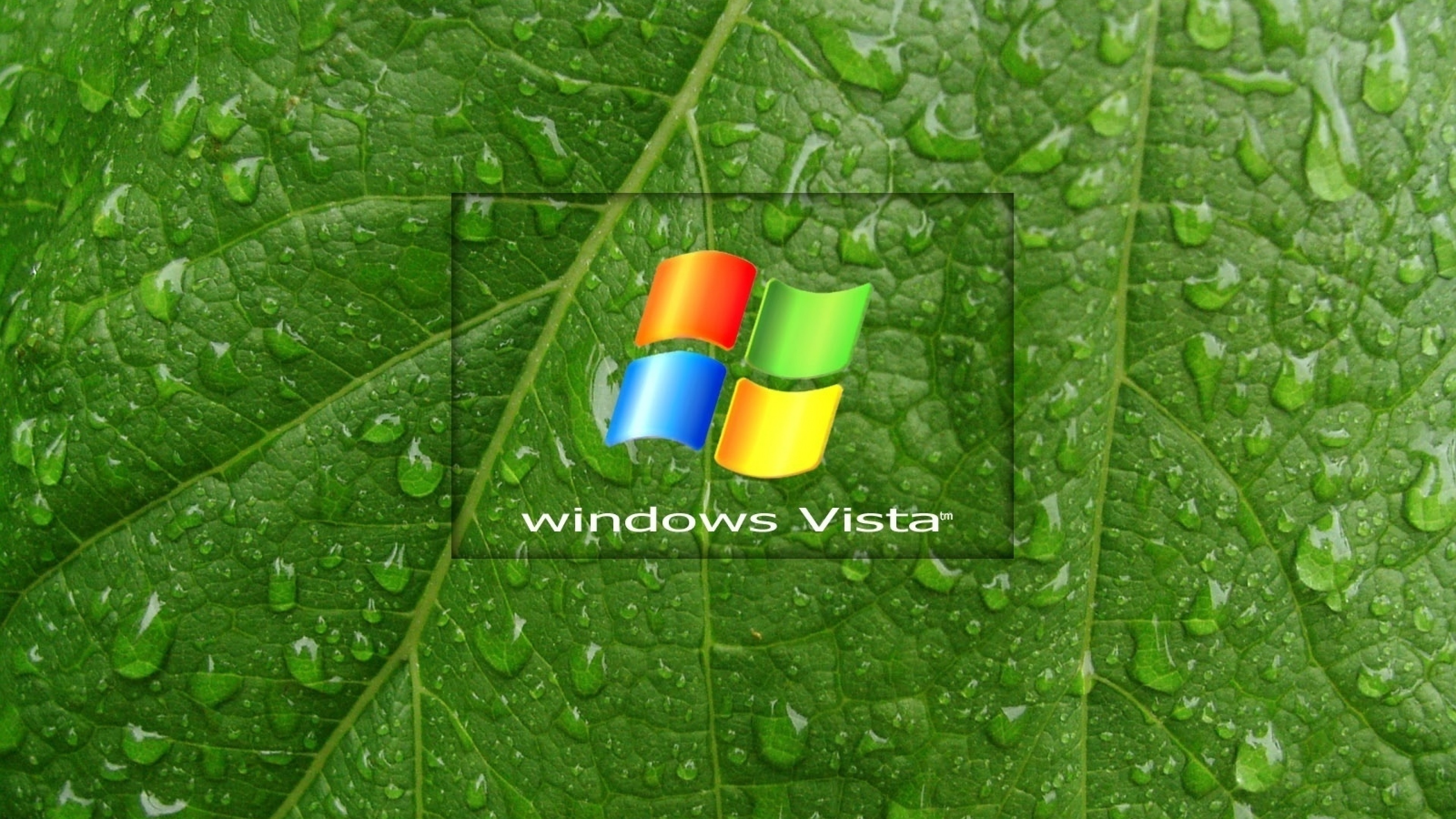 3840x2160 Preview wallpaper windows, vista, leaf, drop, surface 