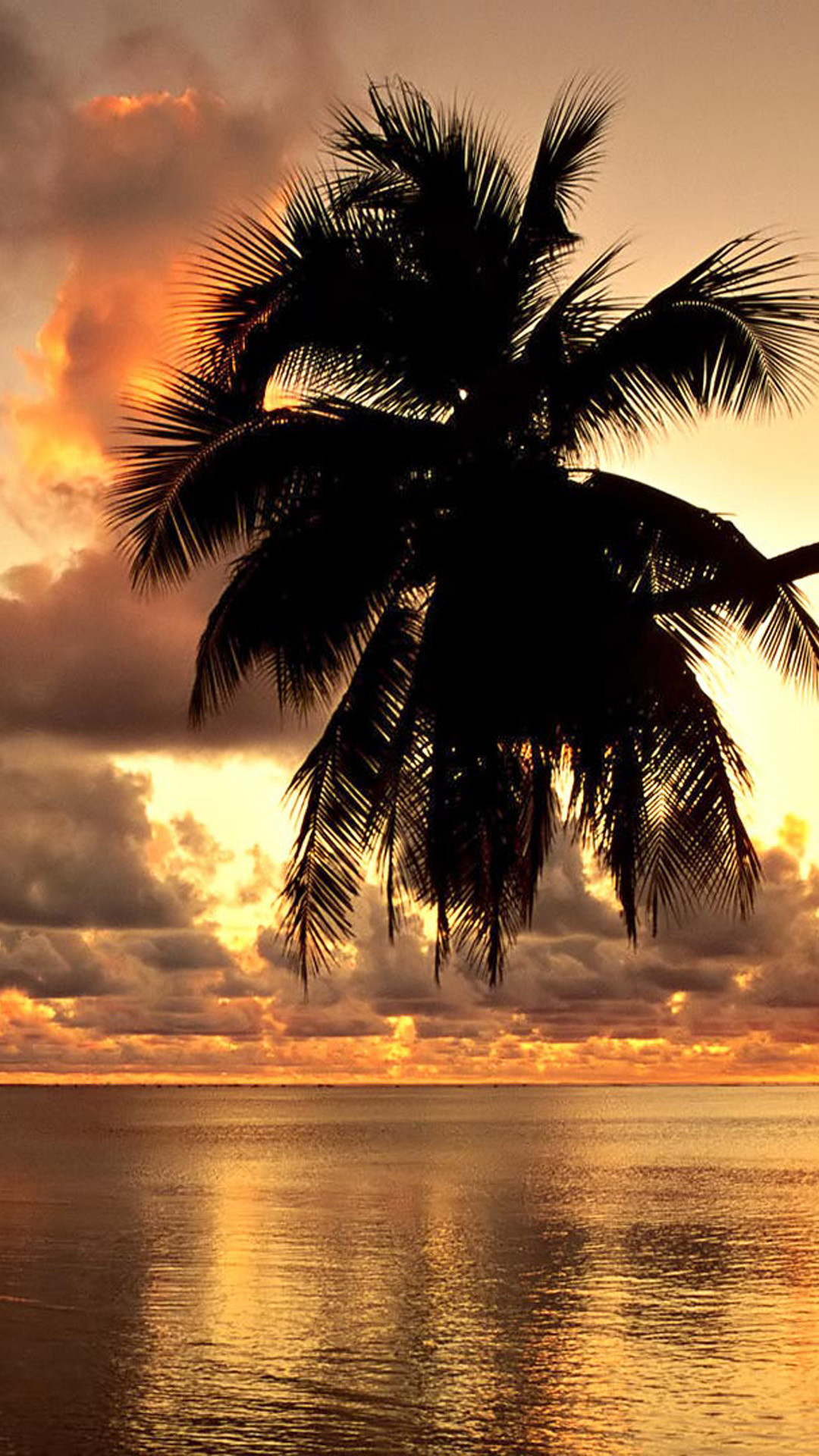 1080x1920 Tropical Coast Sunset iPhone Wallpaper