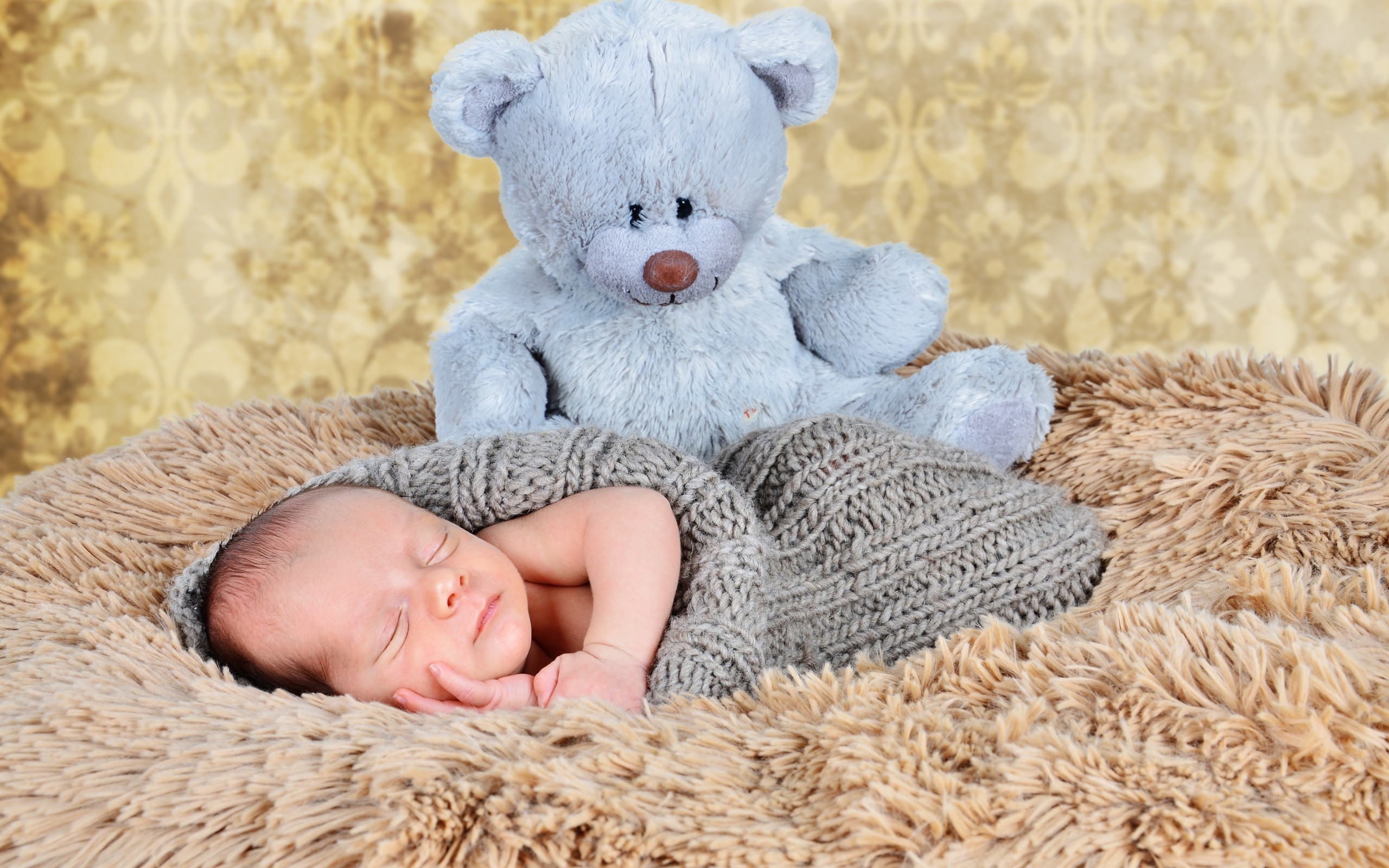 2560x1600 ... baby boy sleeping in blanket beside his teddy bear so cute hd images  for desktop background