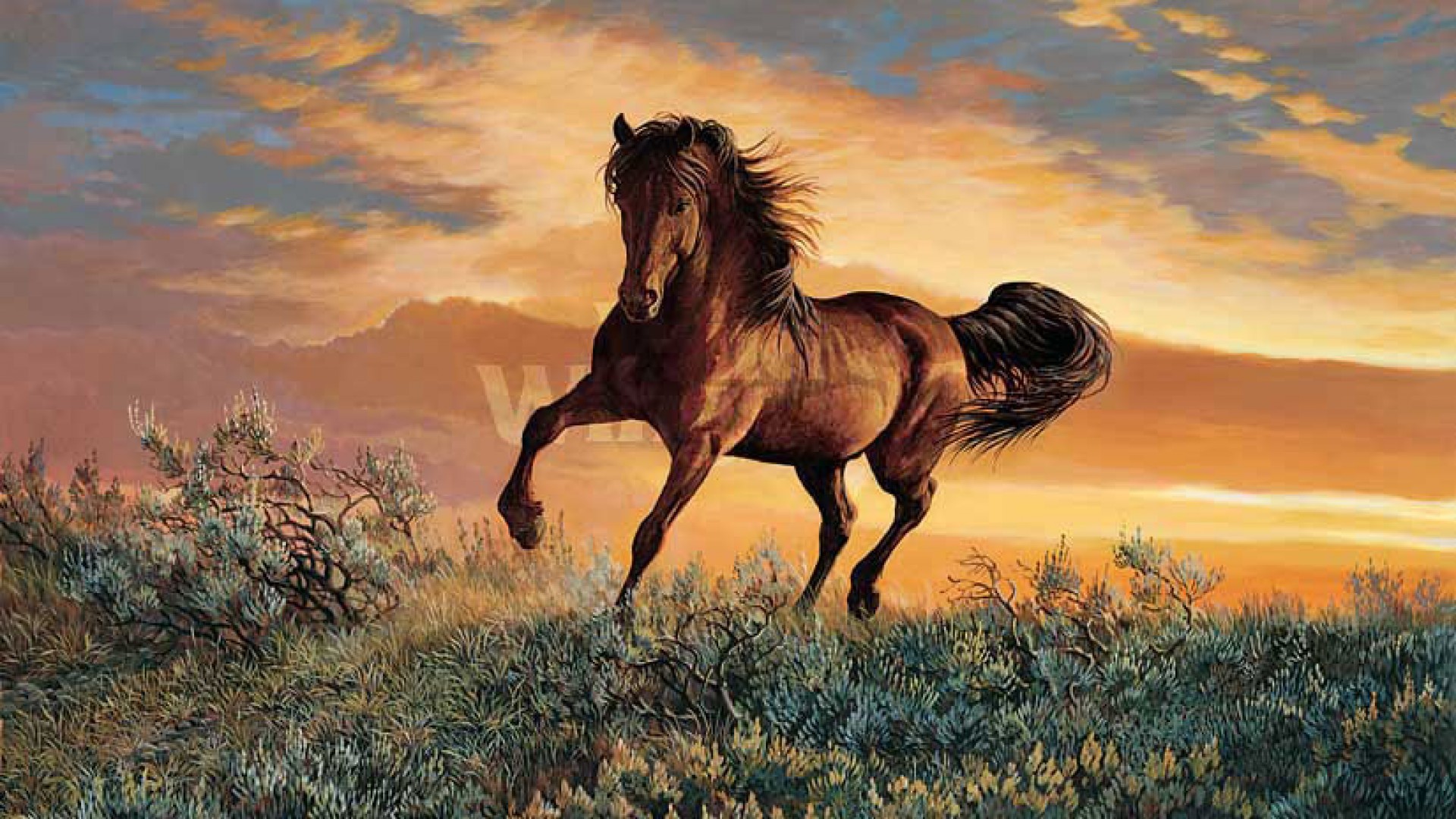 1920x1080 Wild Horses Mustang