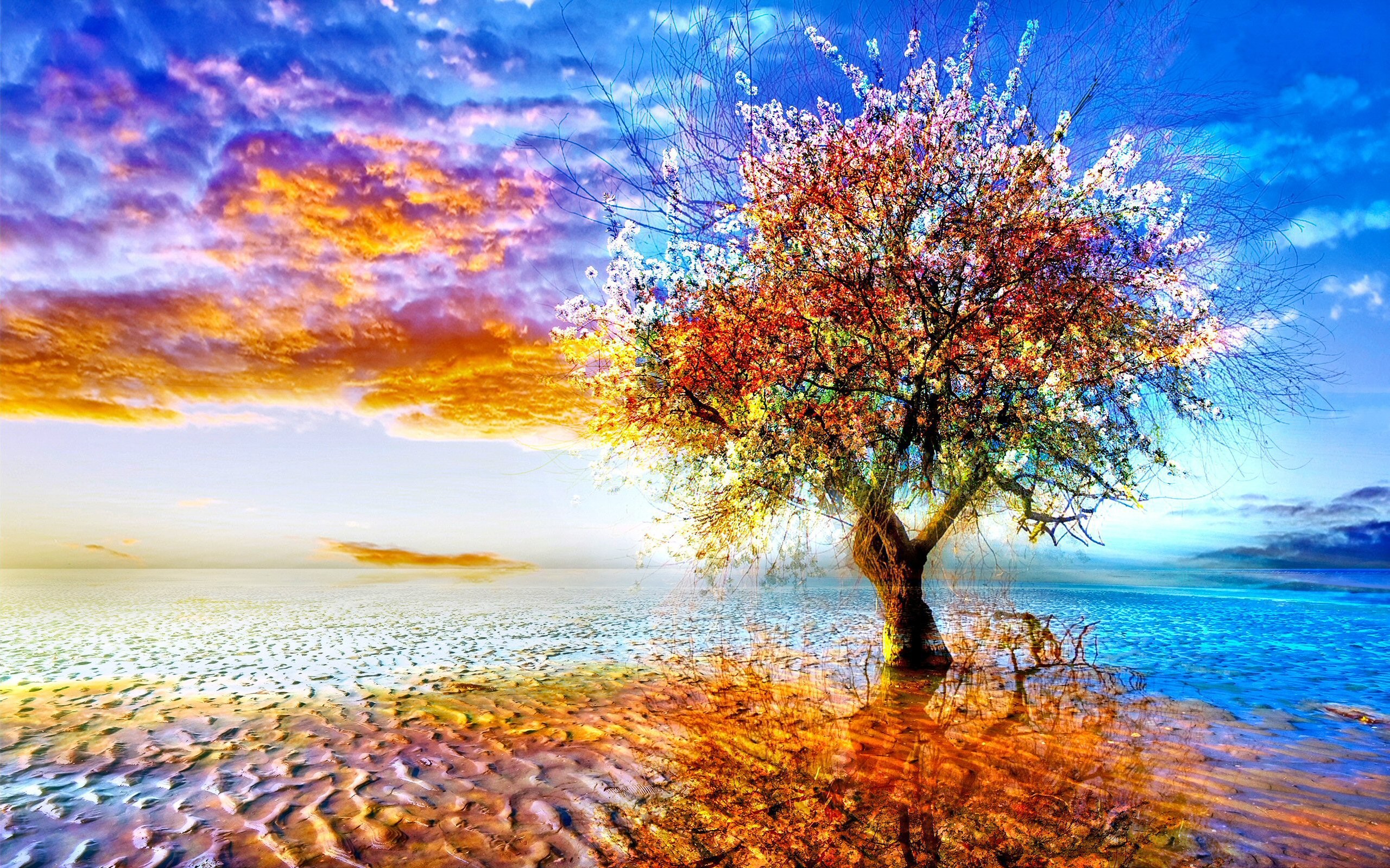 Sea Ocean Render Tree Digital Art Reflection 4K Wallpaper iPhone HD Phone  4900f