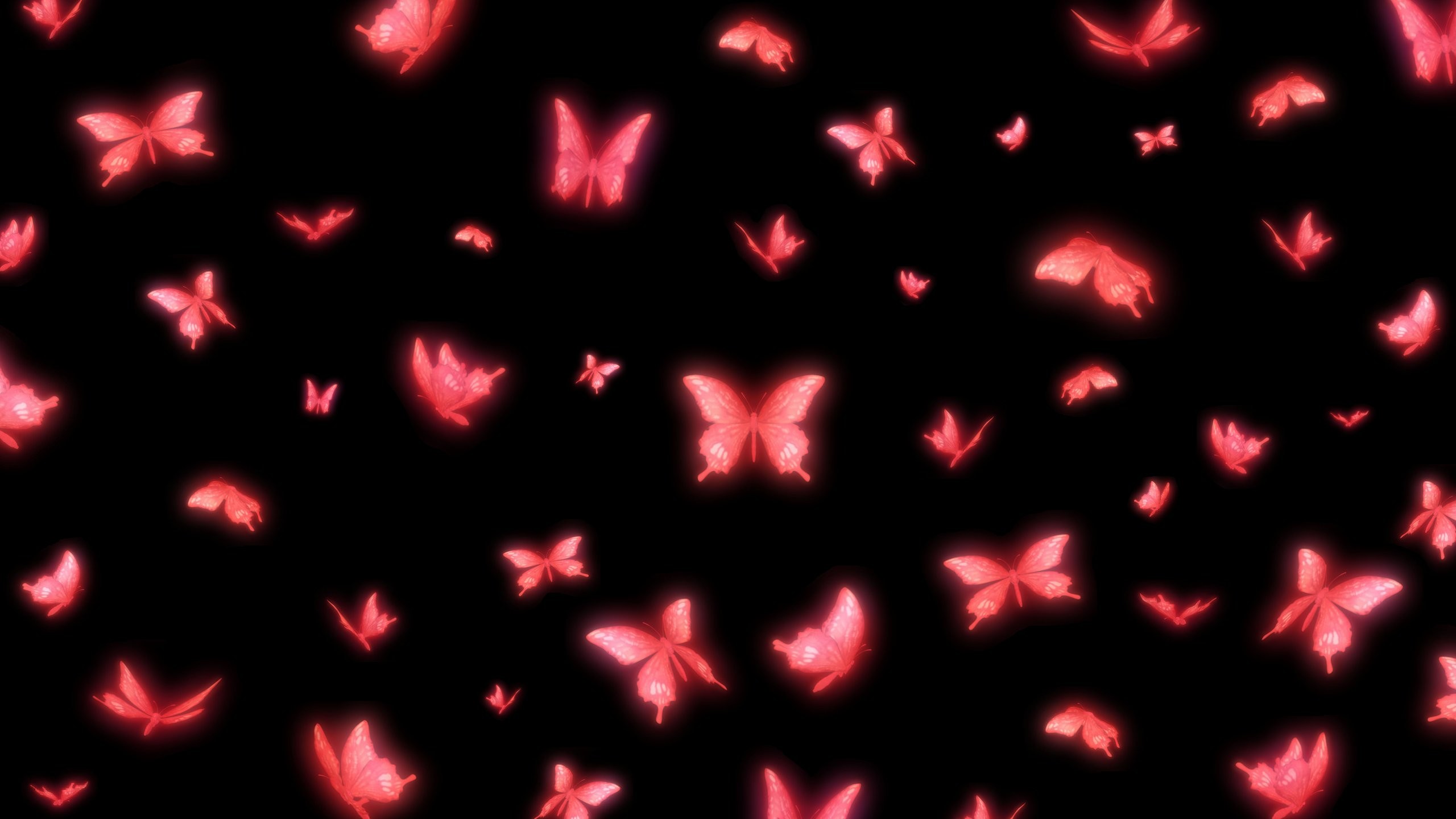 2560x1440 FATAL FRAME Project Zero supernatural survival horror dark 1fframe  exploration fantasy gothic japanese butterfly wallpaper |  |  623860 | ...