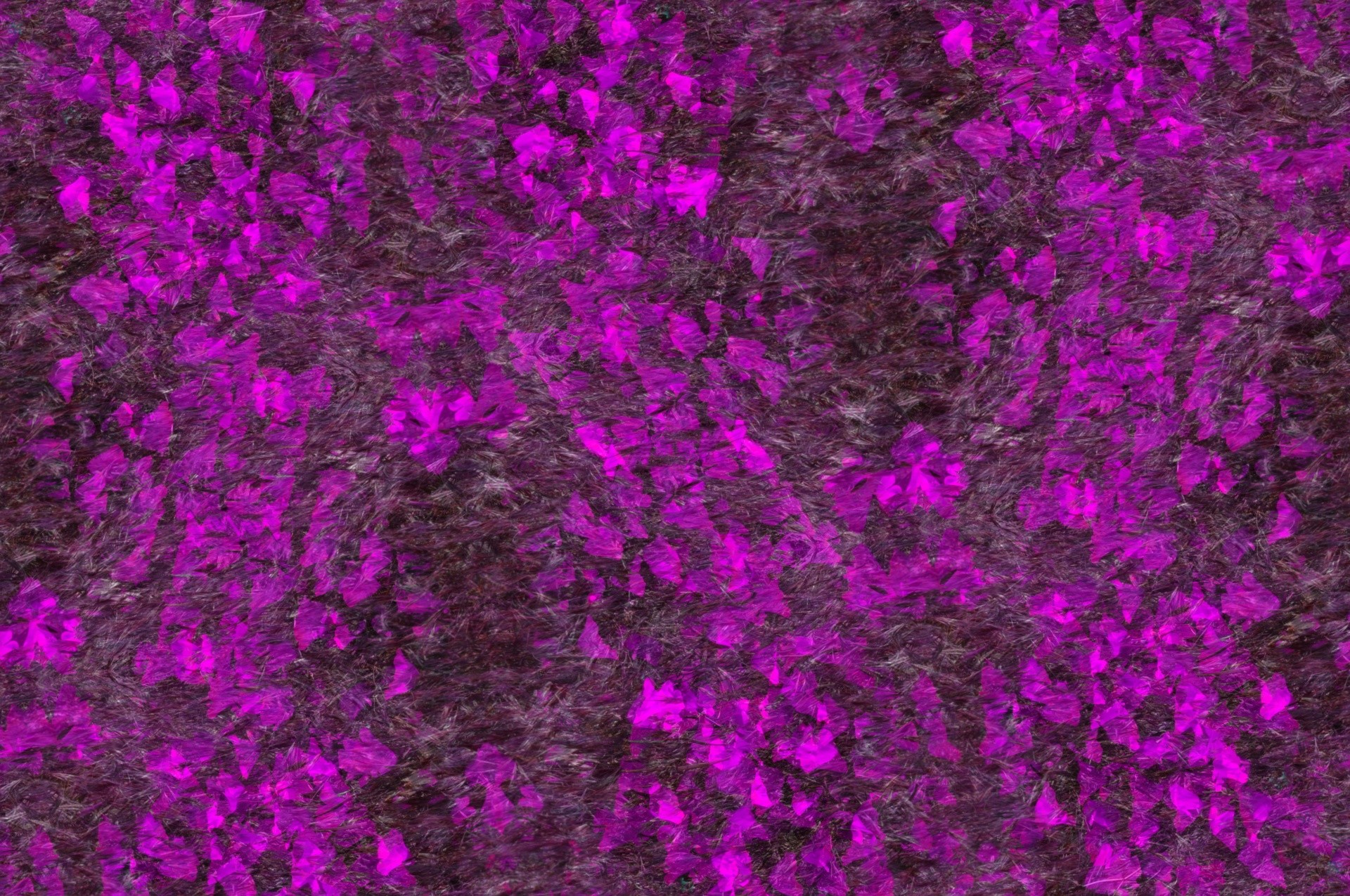 1920x1275 Purple Flower Background