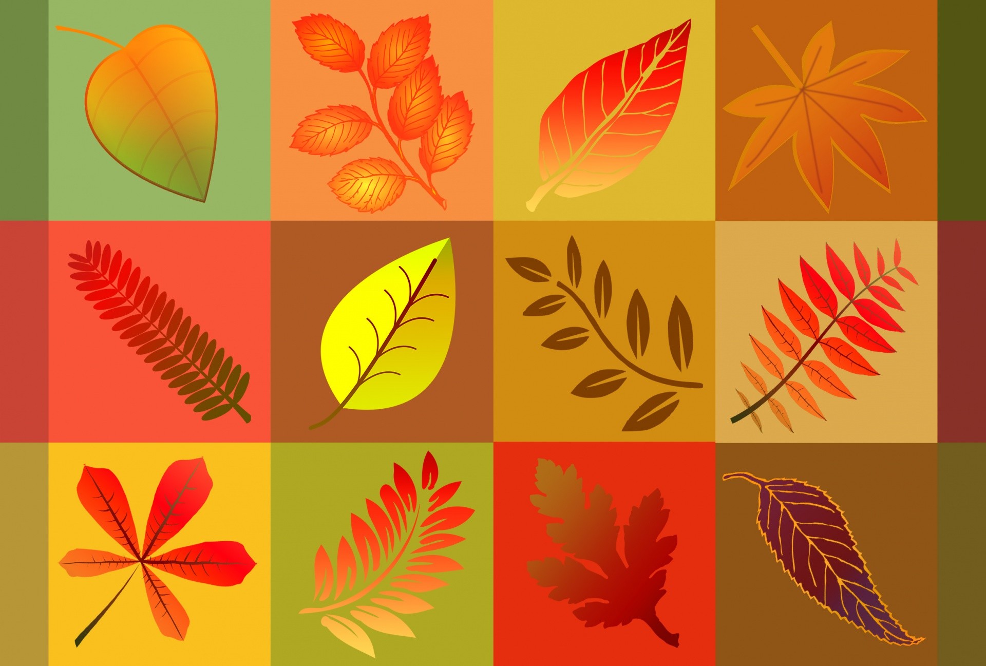 1920x1297 Fall Leaves Background